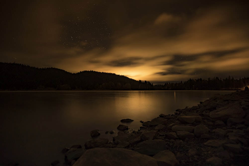 a rocky shore with a body of water and trees in the background