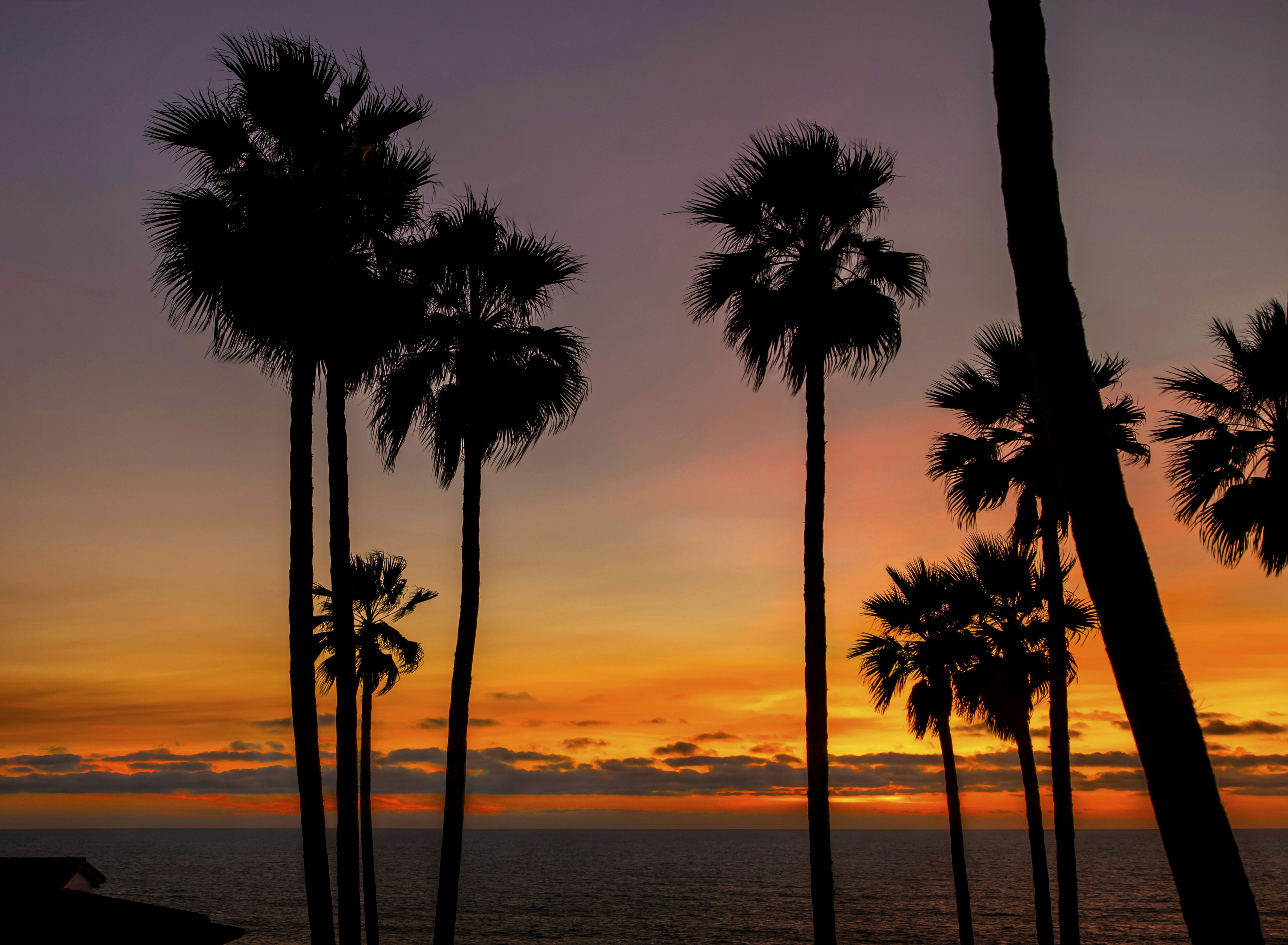 Photo by leo_visions_