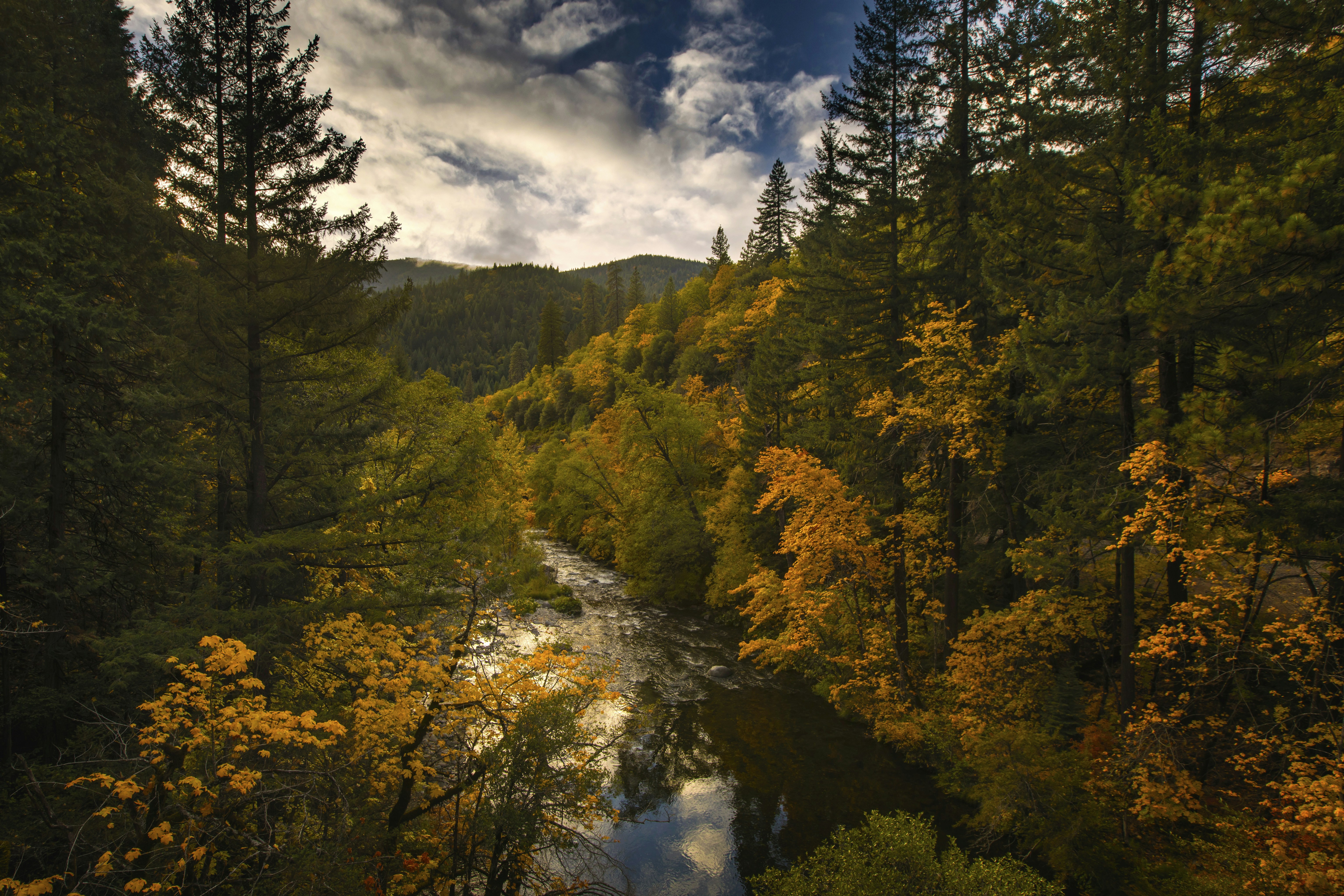 Photo by leo_visions_