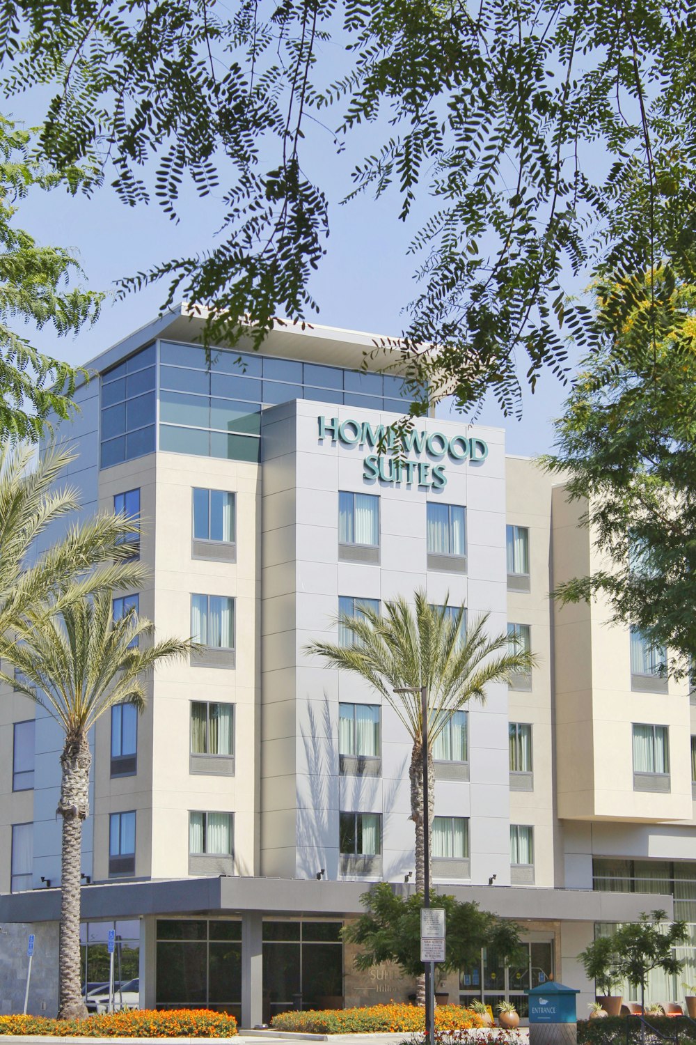 a building with palm trees in front