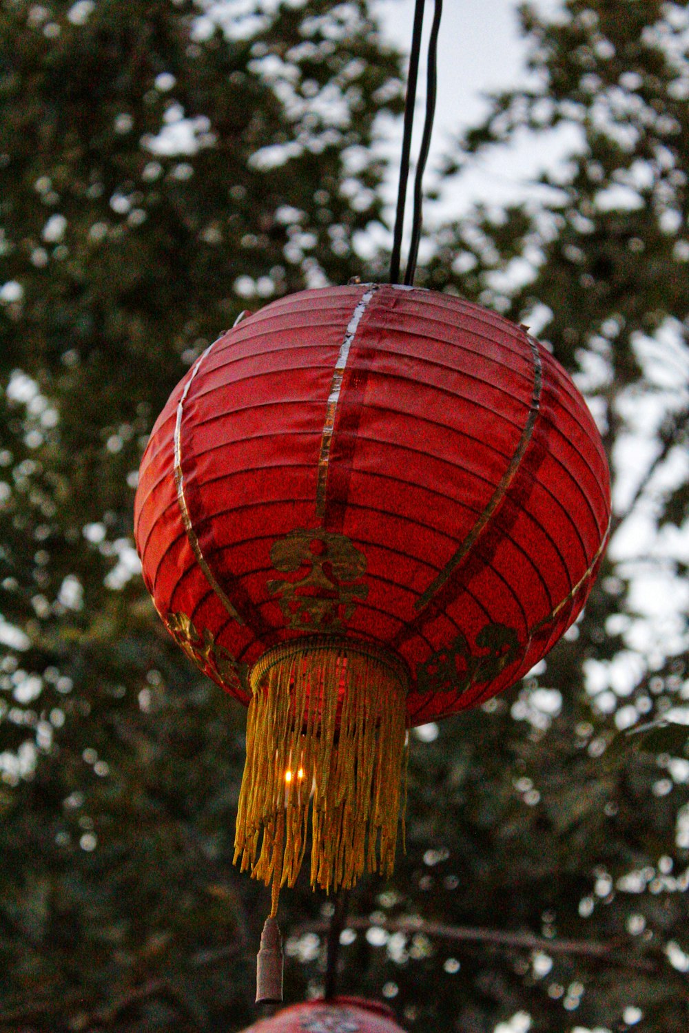 a red lantern from a tree