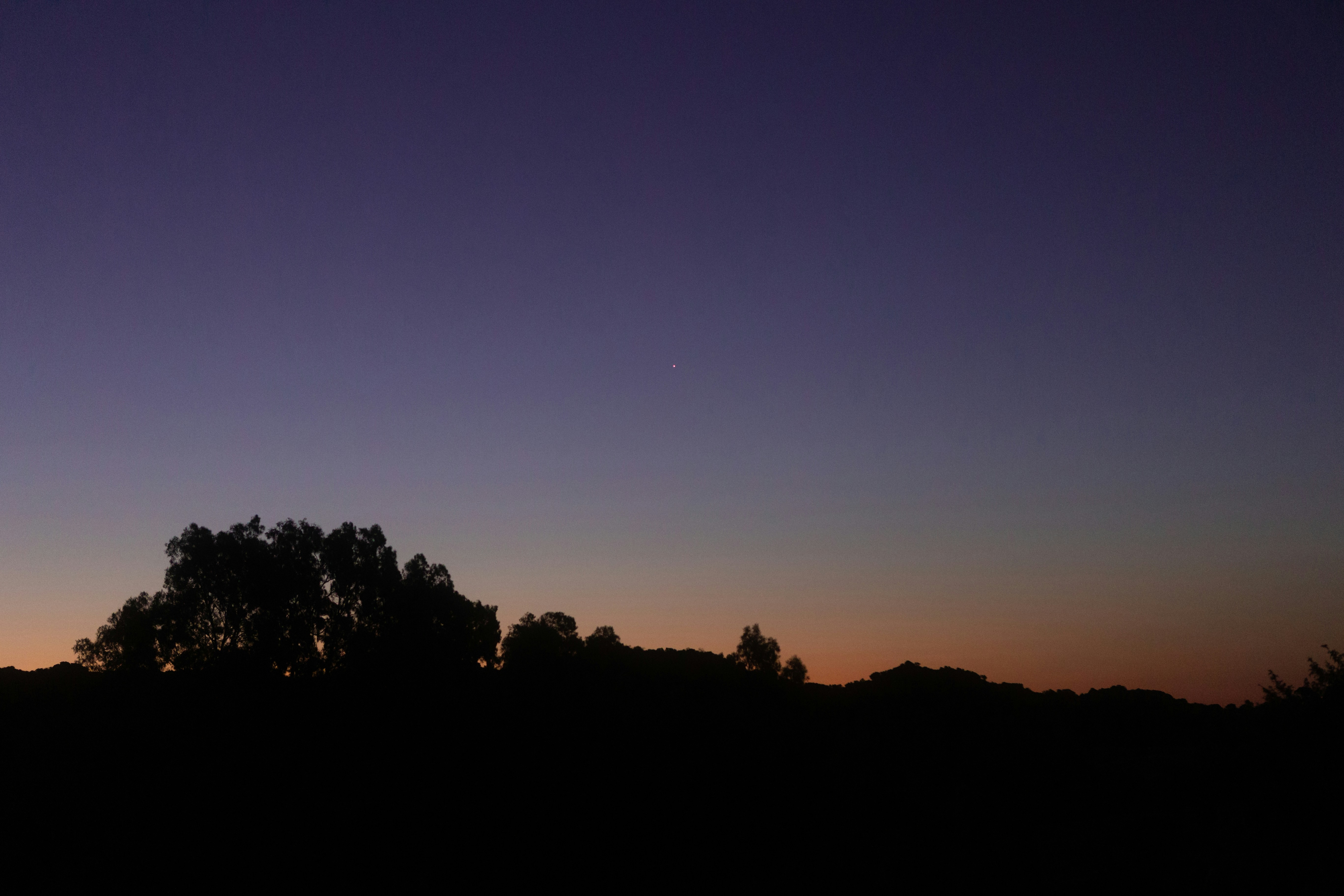 Photo by alex_gruber