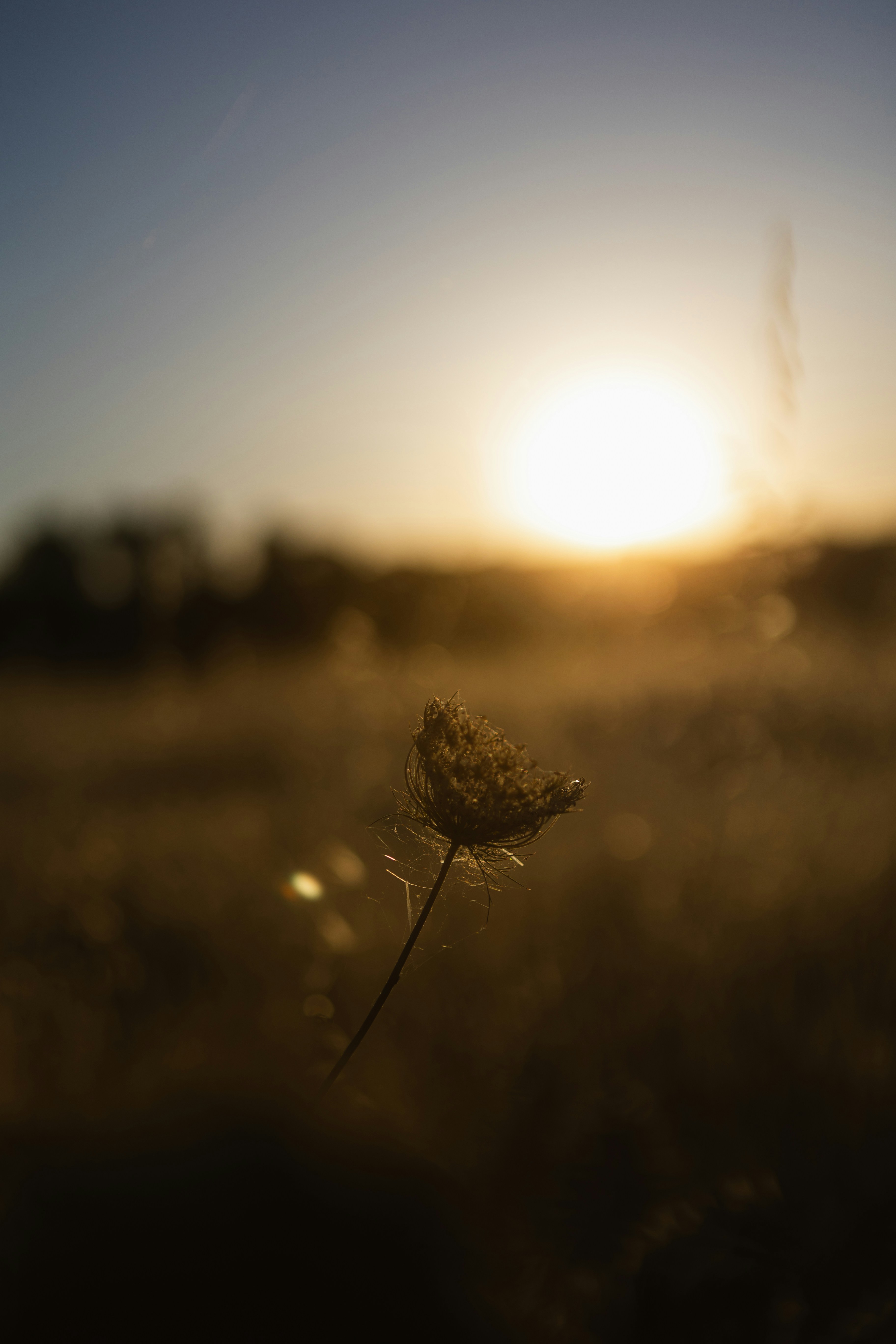 Photo by alex_gruber