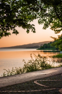 a body of water with trees around it