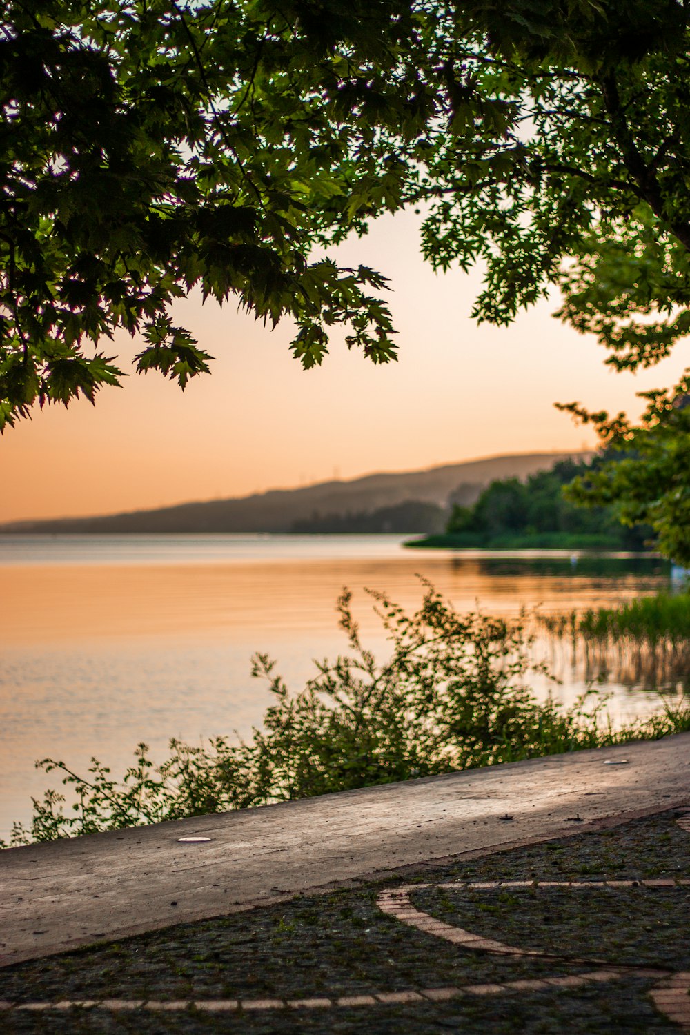 a body of water with trees around it