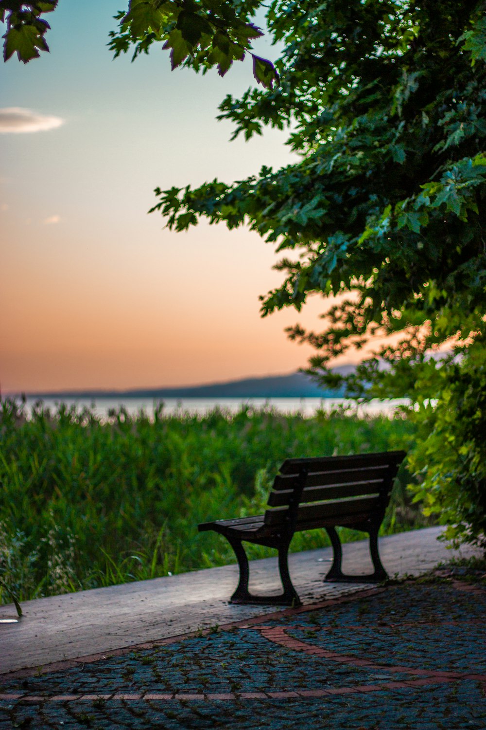 a bench sits unoccupied