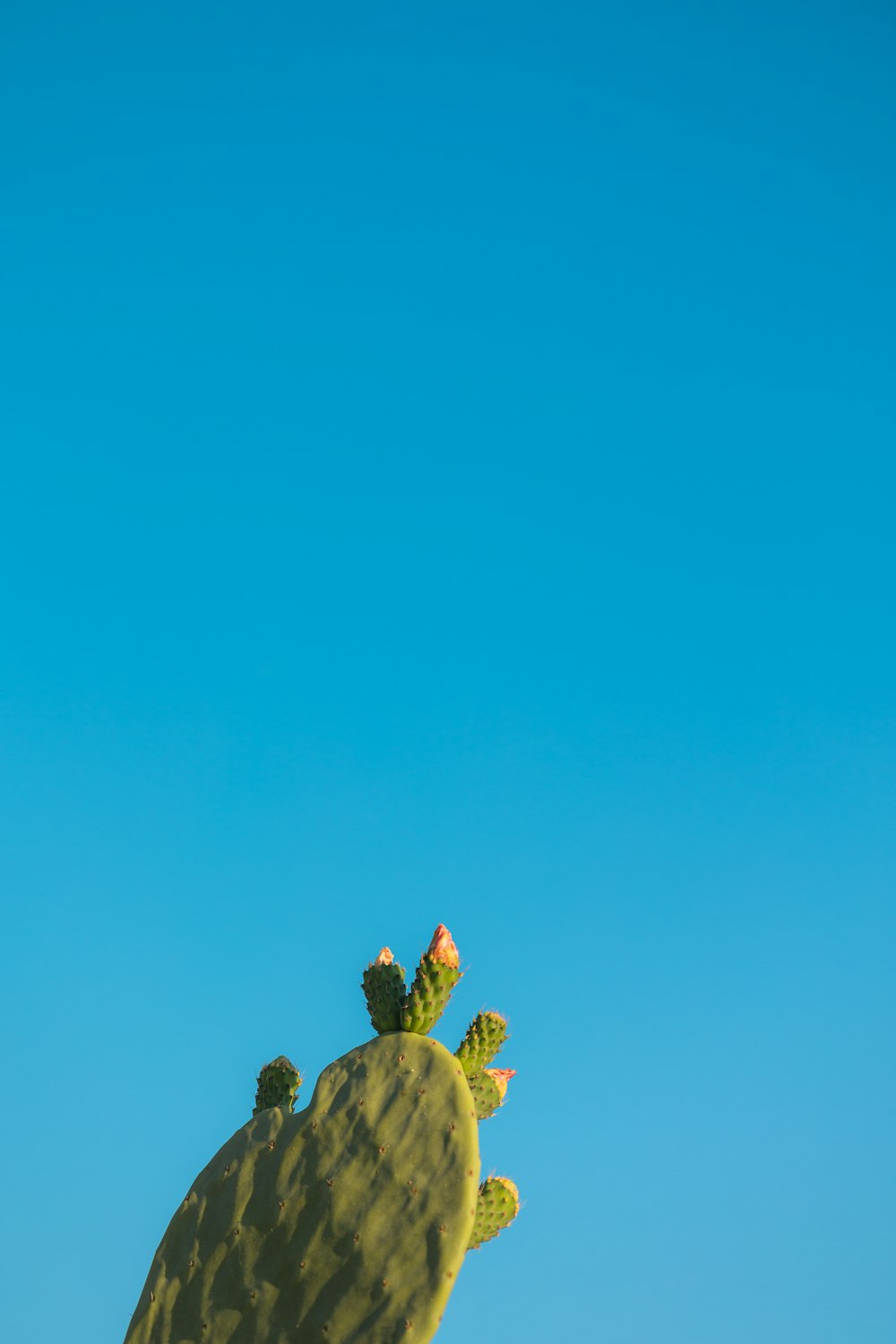 a statue of a person with a crown and a crown