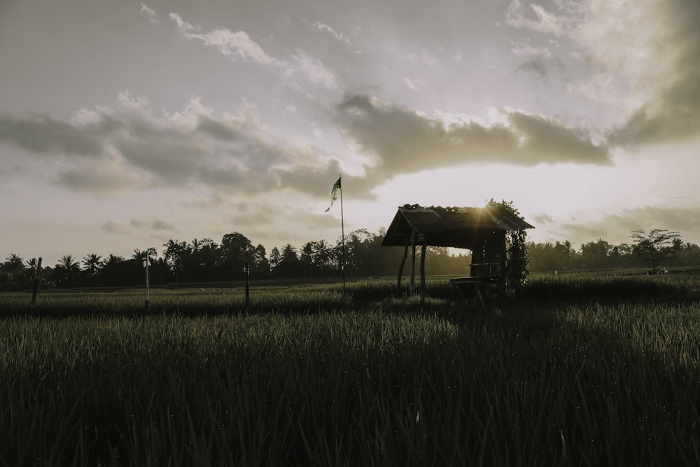 a field with a hut and a flag in it