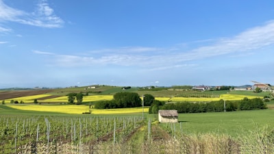 The lush green farm fields stretching out with a rustic farmhouse in the background on a bright morning.
