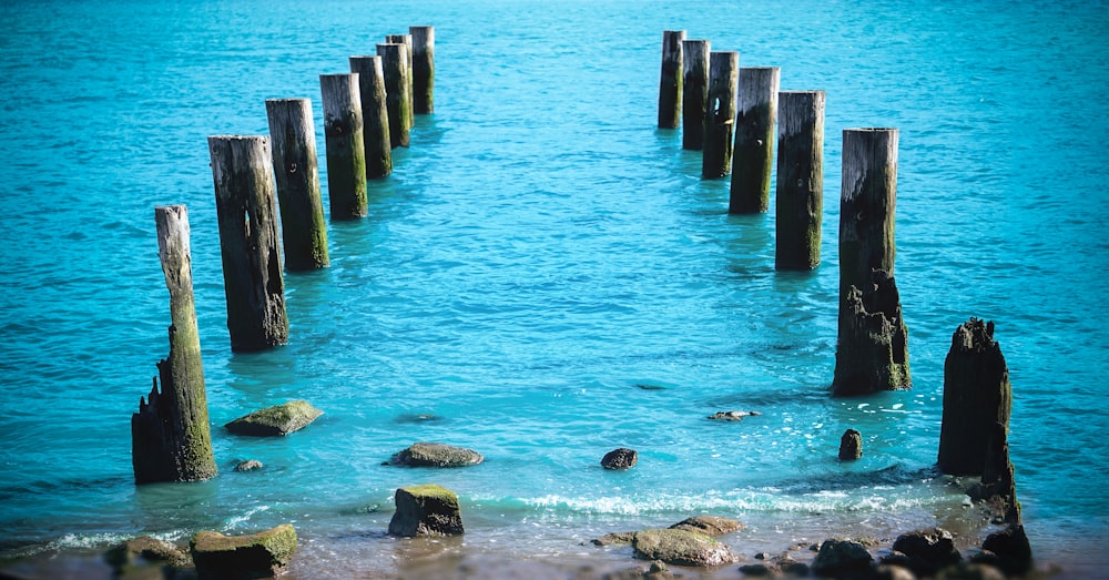 a group of wooden pillars in the water