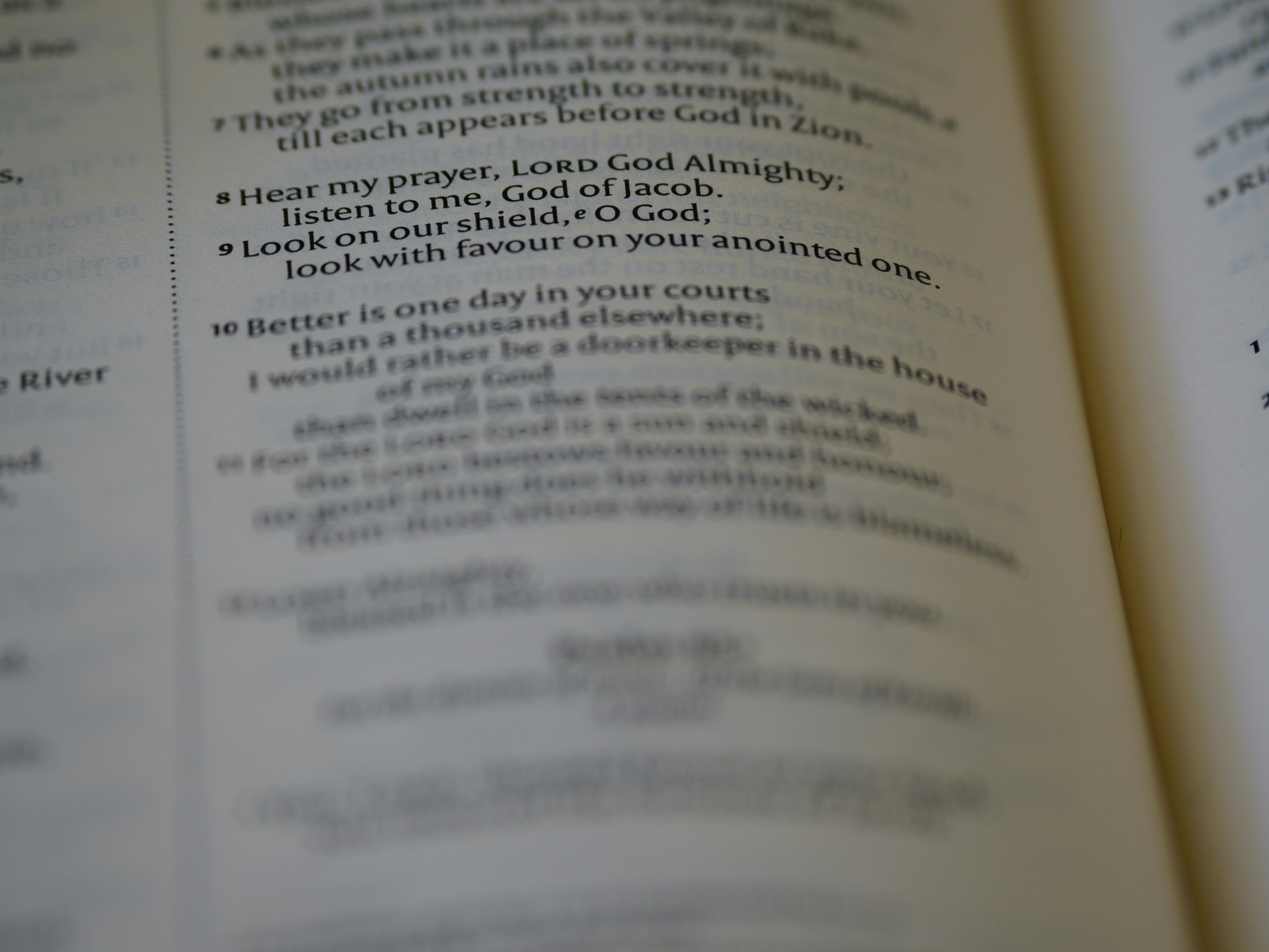 Photo by brett_jordan