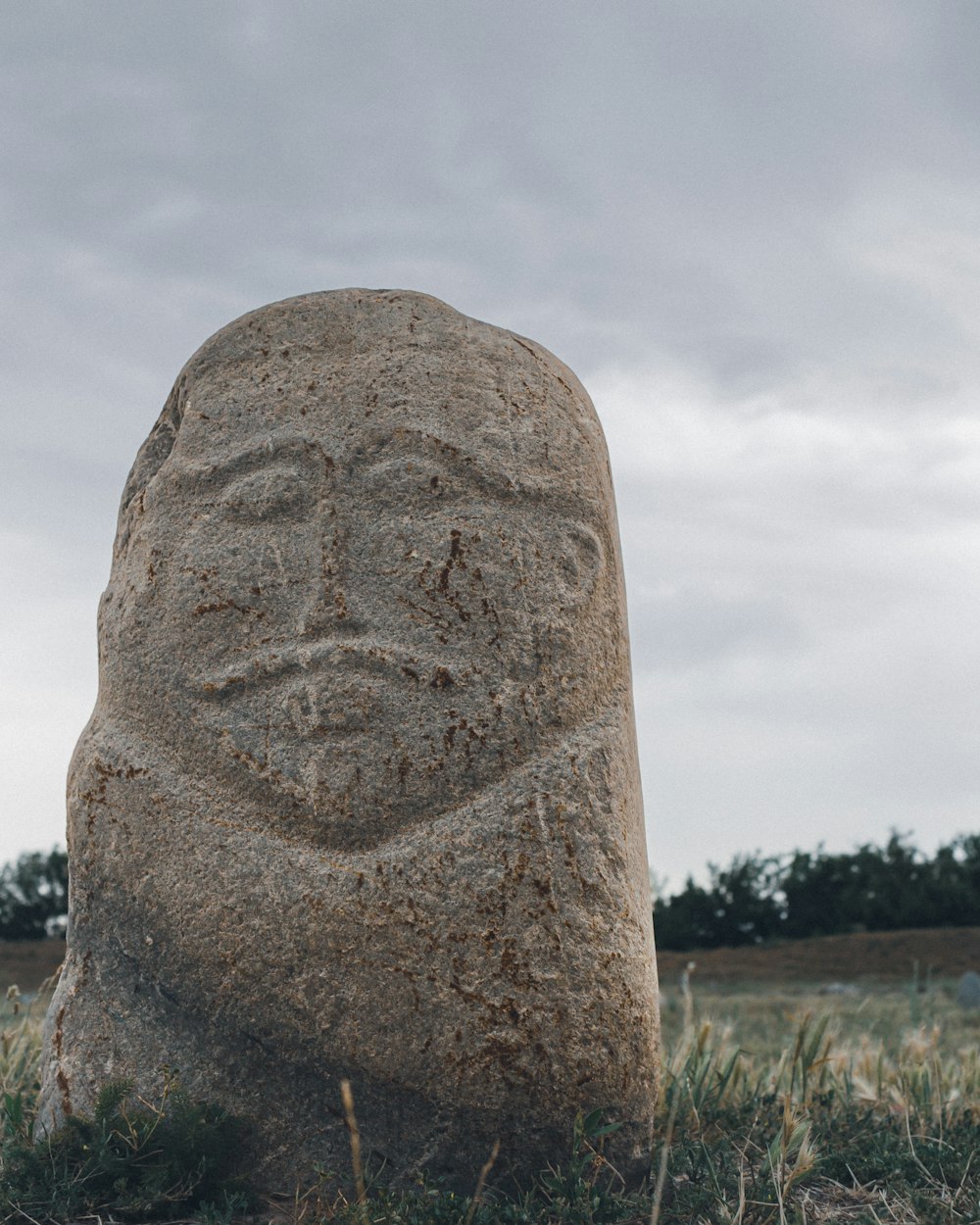 a large rock in a field