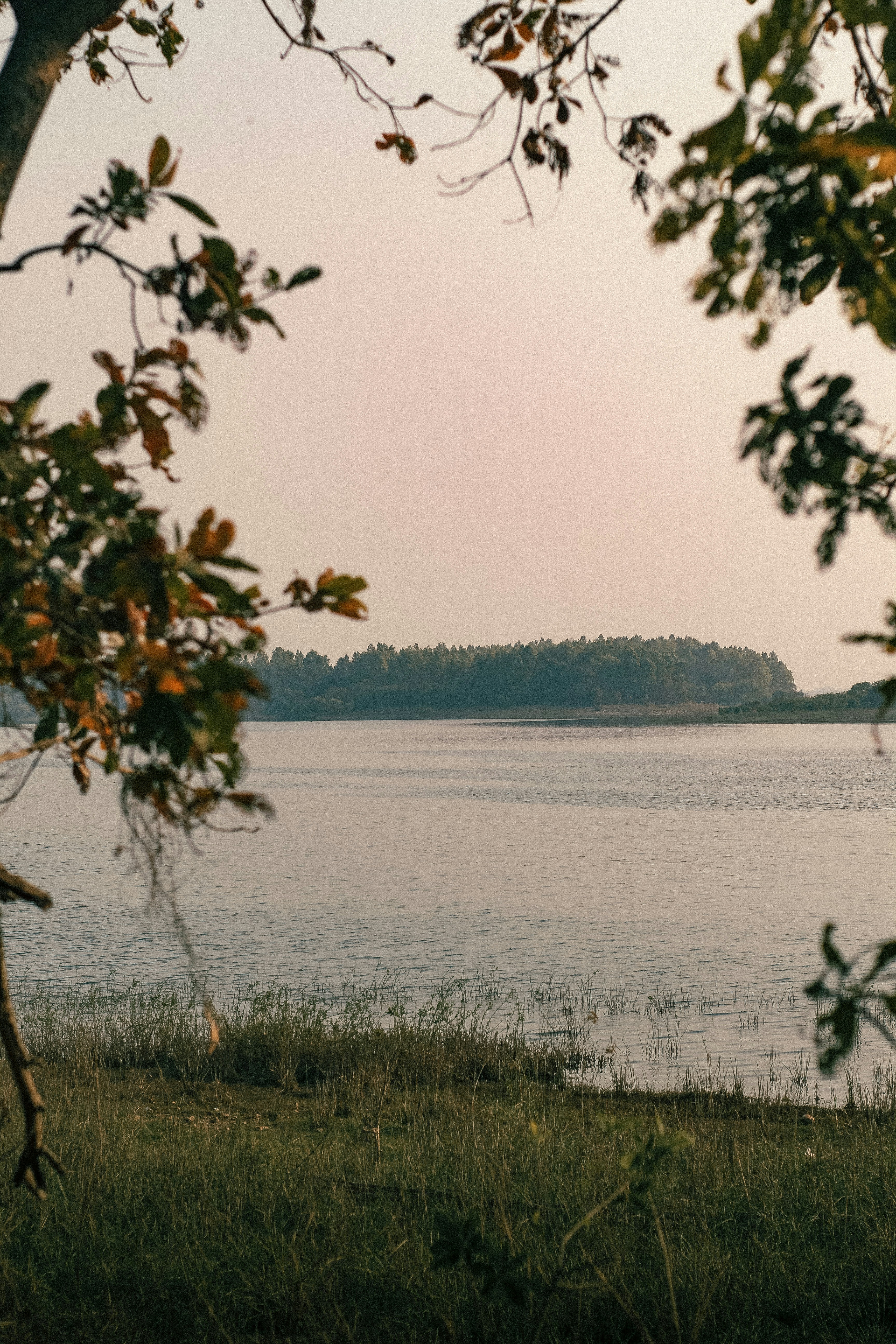 Photo by tusharranjan_