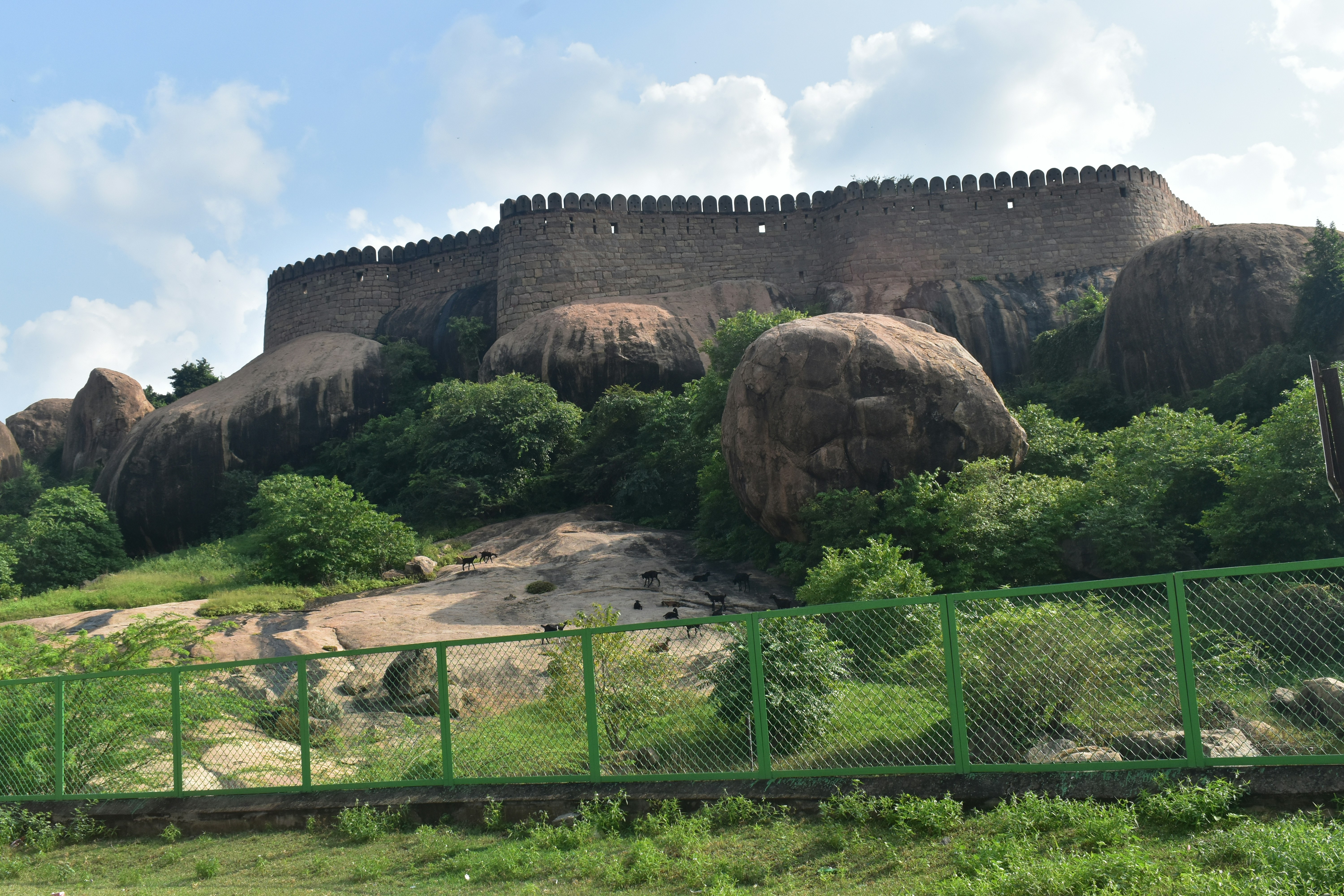 صورة المعرض