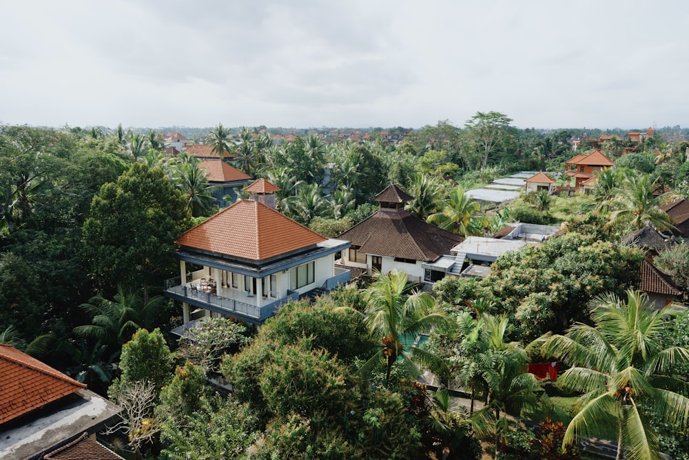 a group of houses surrounded by trees