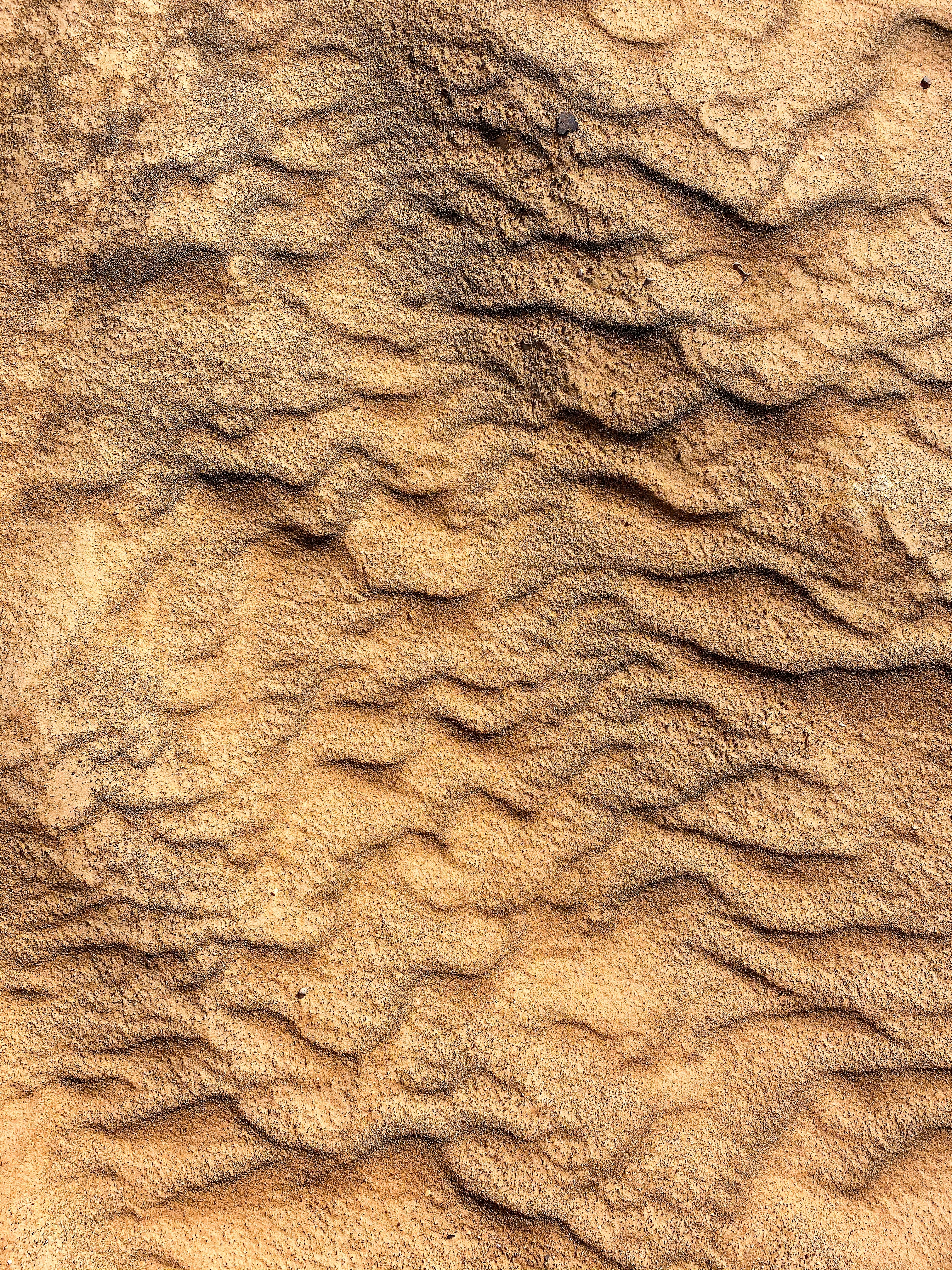 Photo by your_scorpion