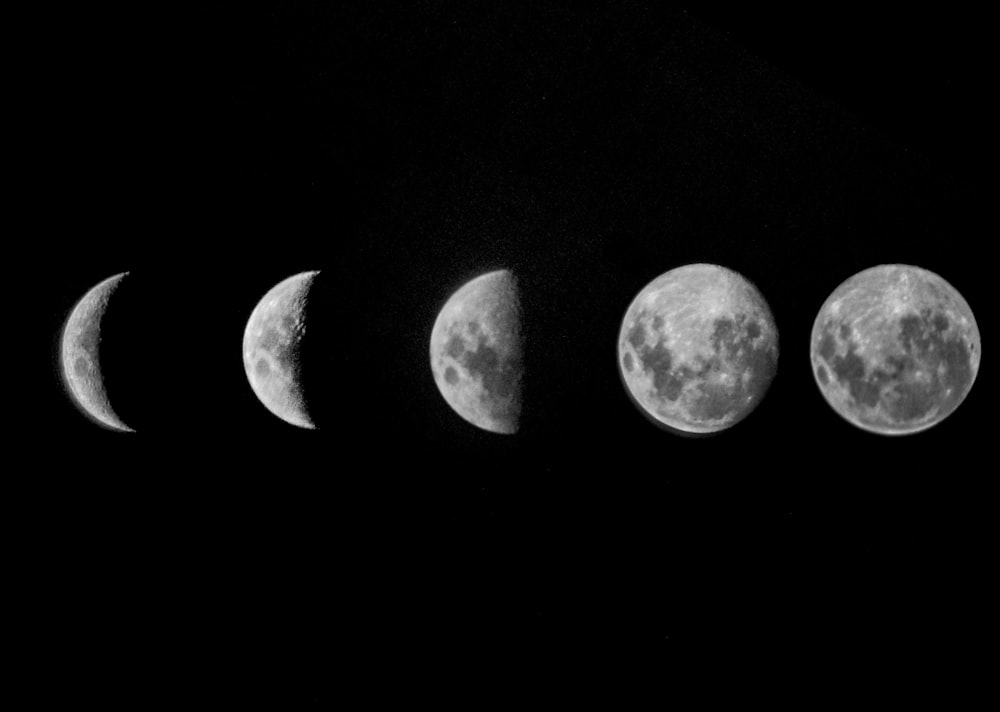a group of moon phases