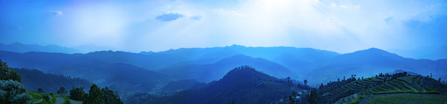 A panoramic view across the wooded Kasar Devi ridge in Almora, Uttarakhand