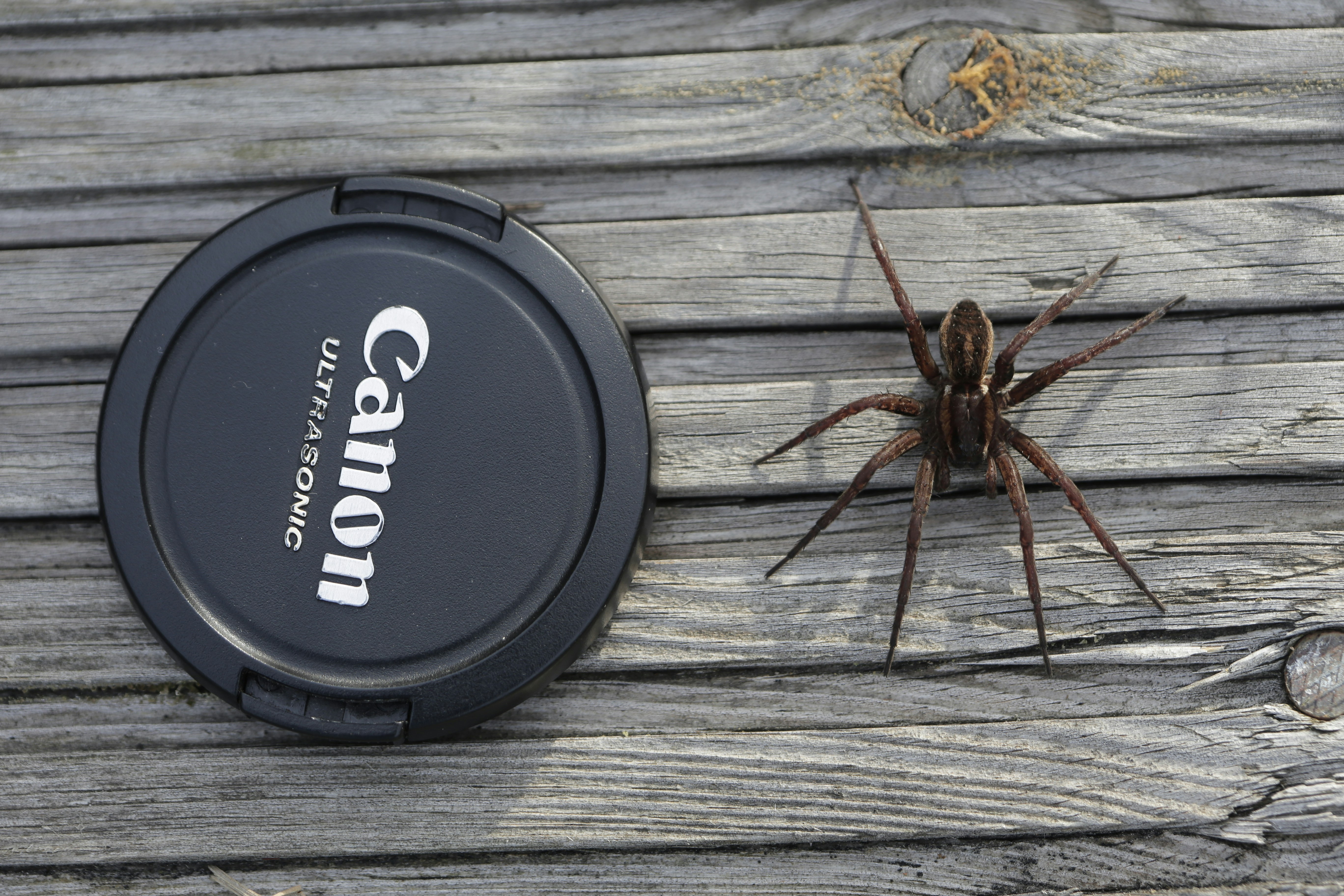 Serverless vs VPS for Dozens of Micro Apps: Which Scales Better?