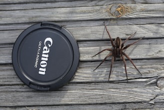 Health Vibes - if you're allergic to bug & spider bites, you might need an allergy pill 