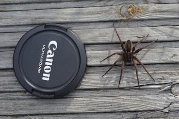 Health Vibes - if you're allergic to bug & spider bites, you might need an allergy pill 