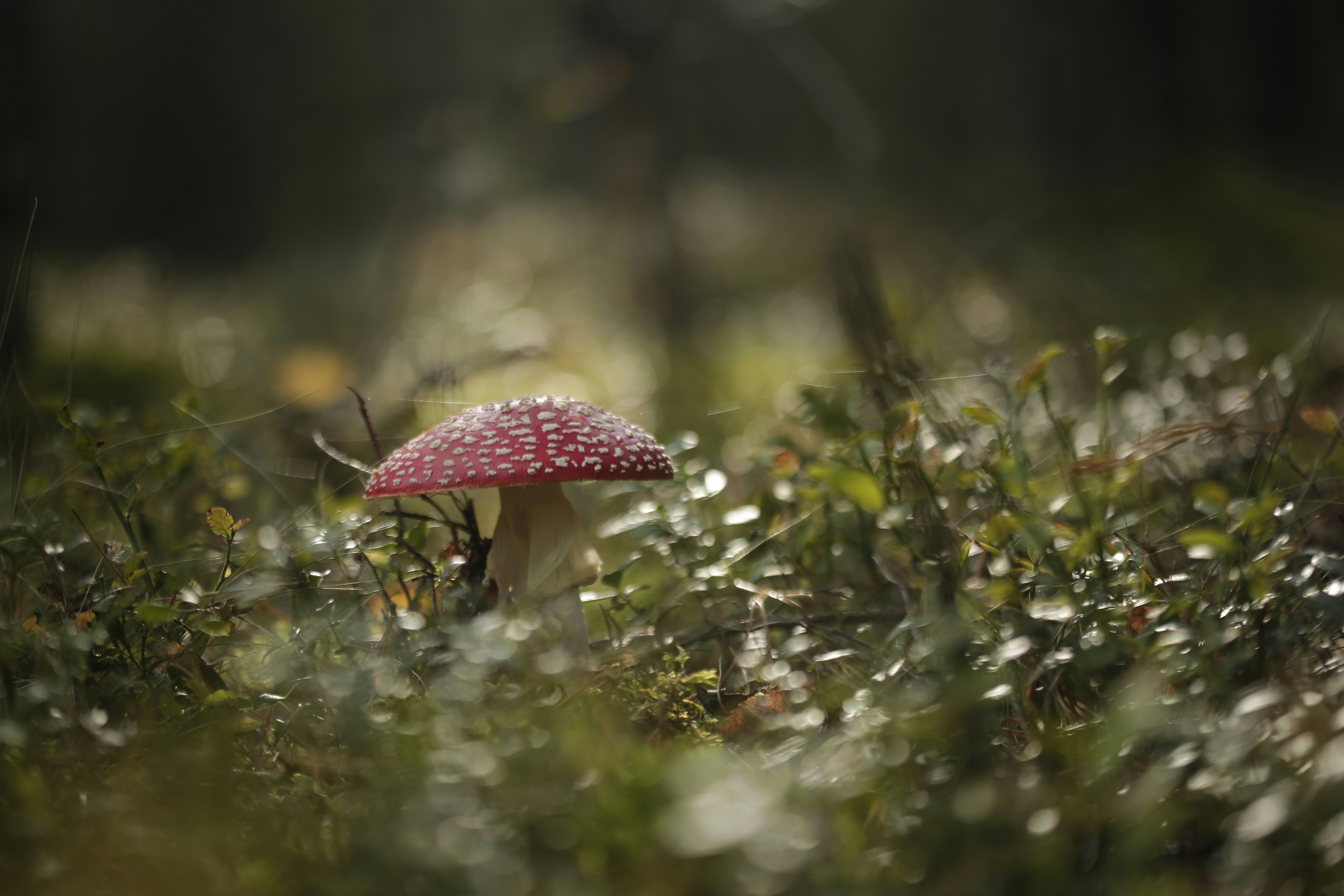 a person holding an umbrella