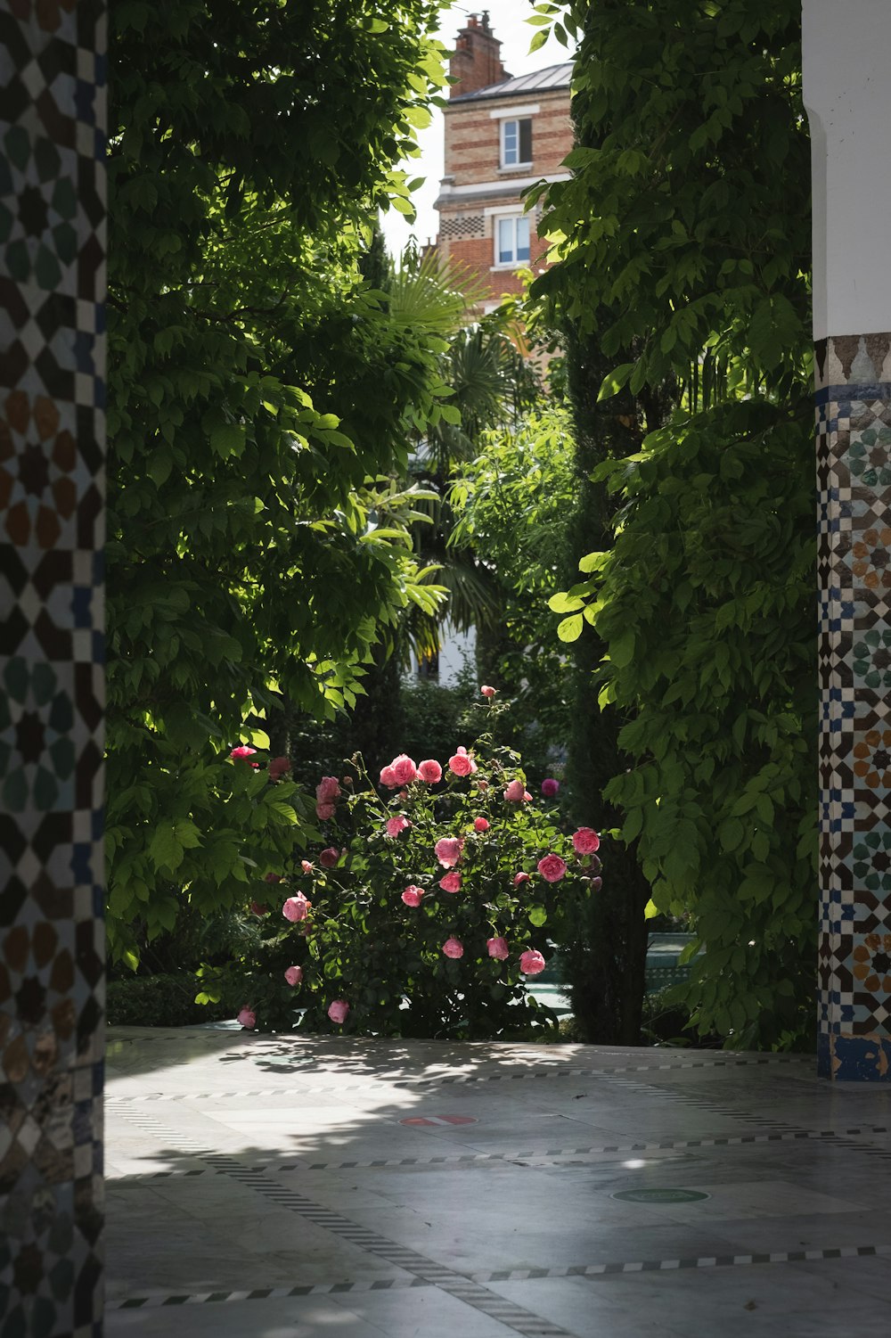 a garden with flowers