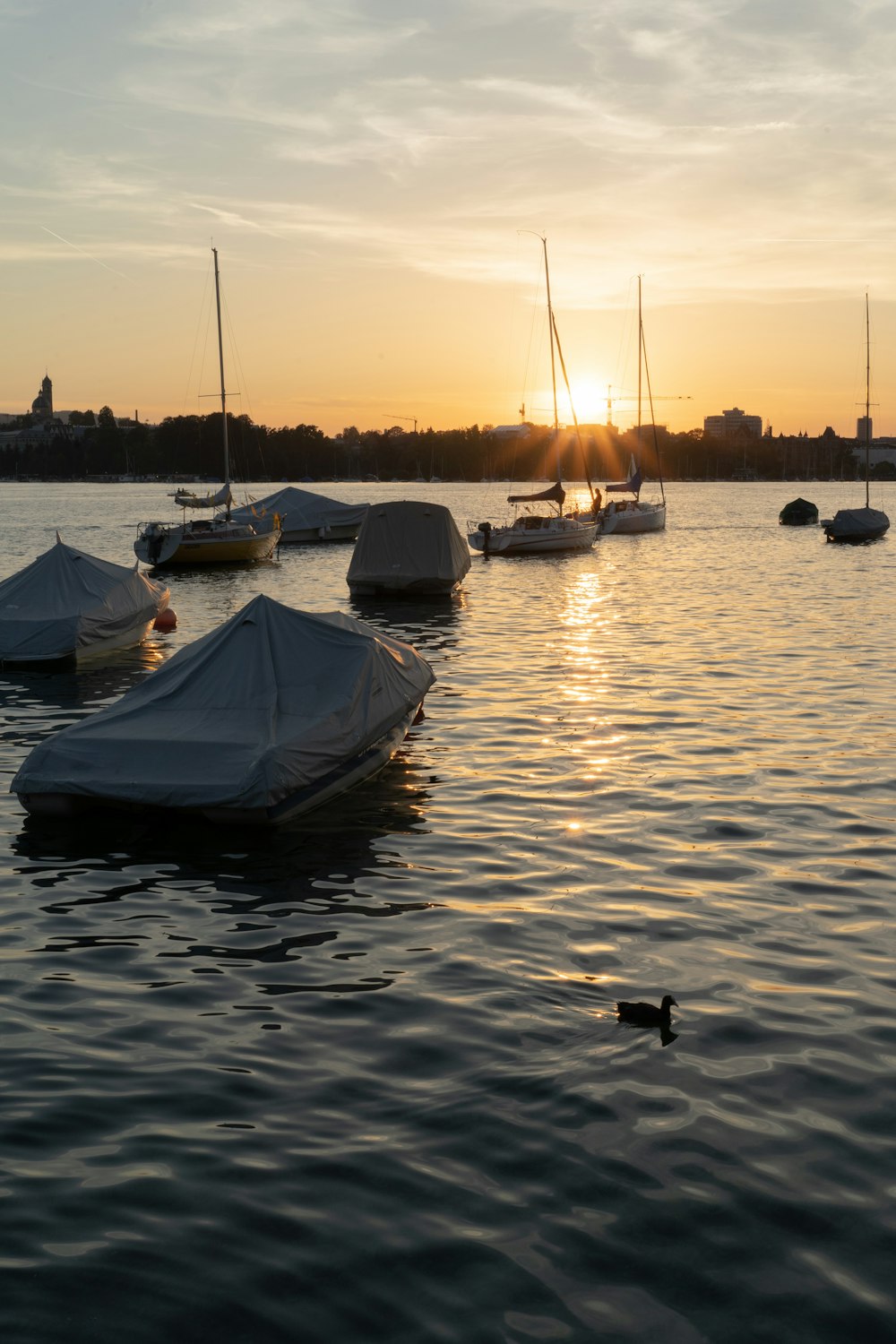 a group of boats sit in a harbor