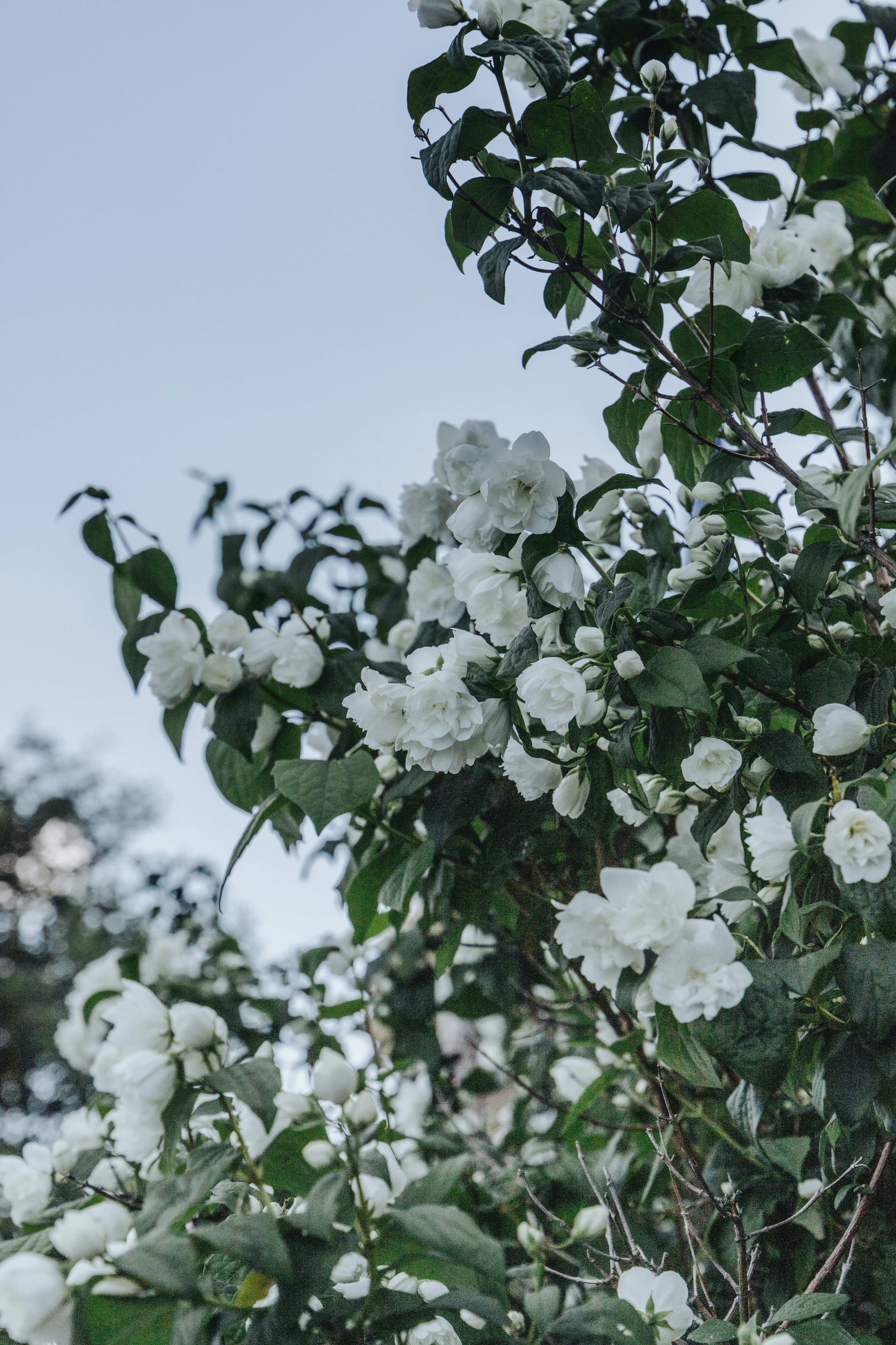 Photo by katharina_bill