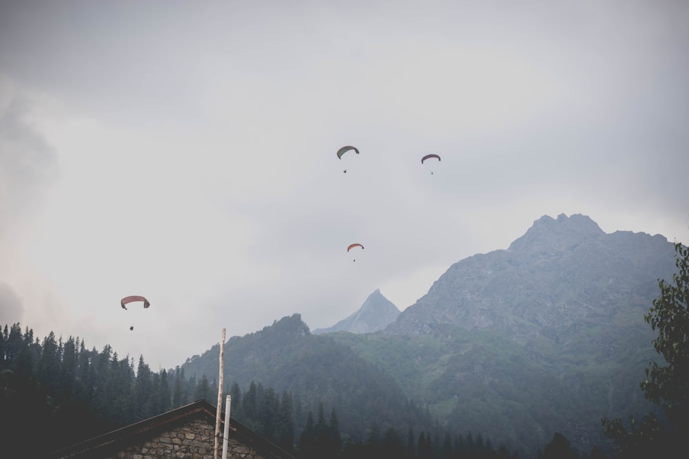 a group of people parachuting