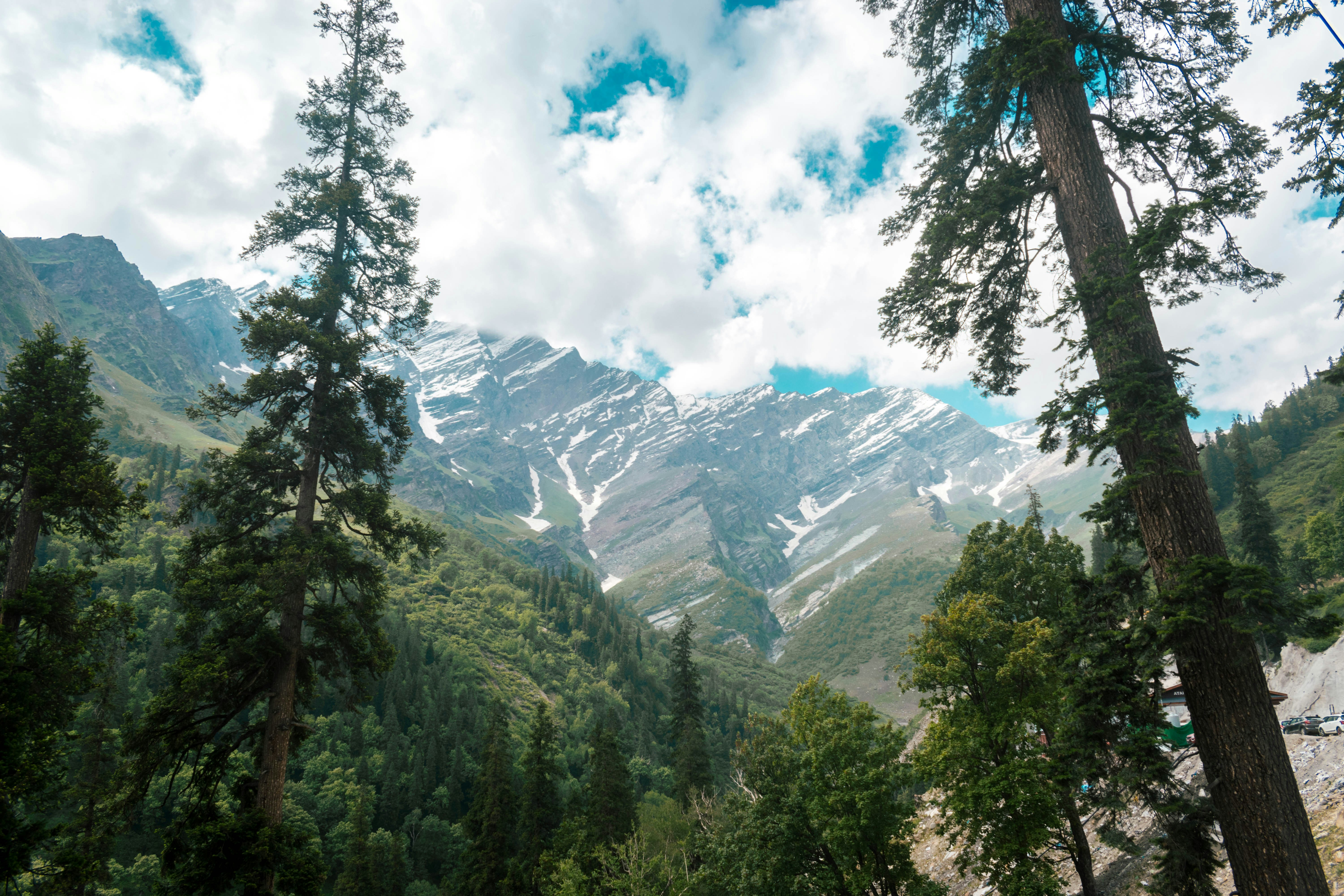 Photo by adityachache