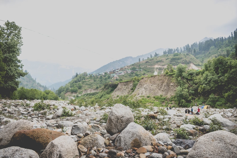 a rocky river bed