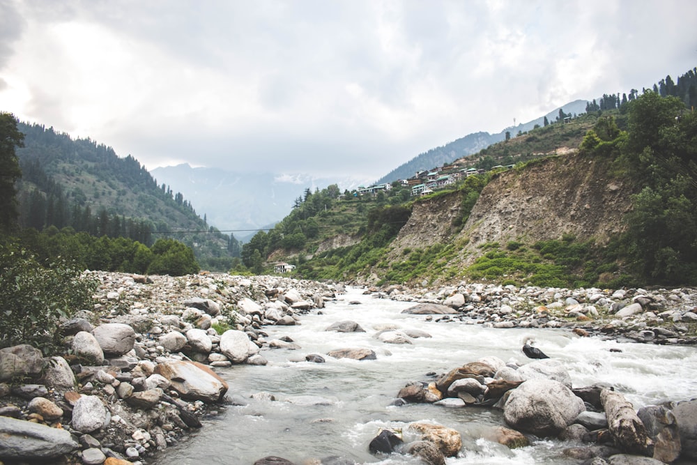 a river with rocks and trees