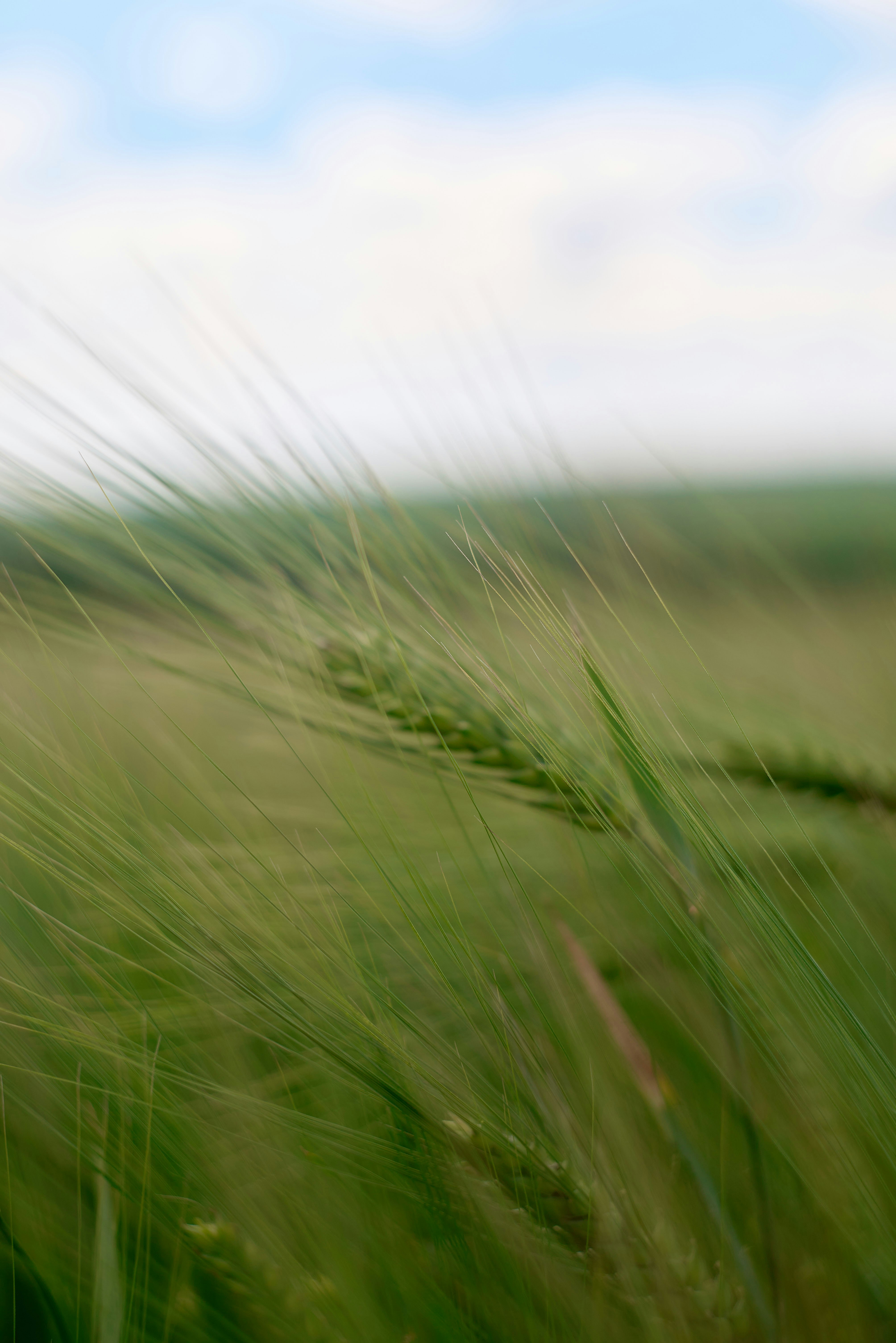 Photo by rostislavbudzan