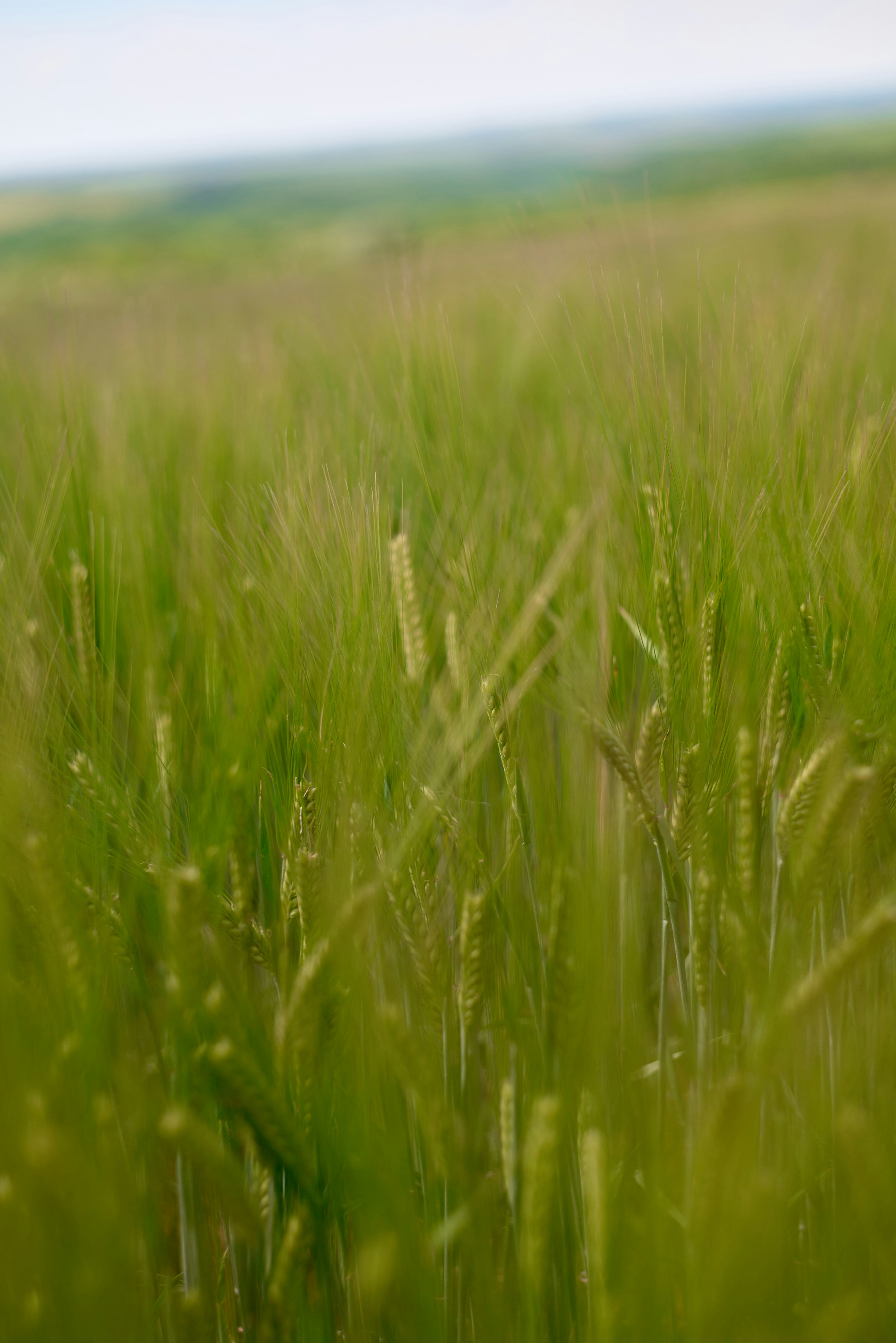 Photo by rostislavbudzan