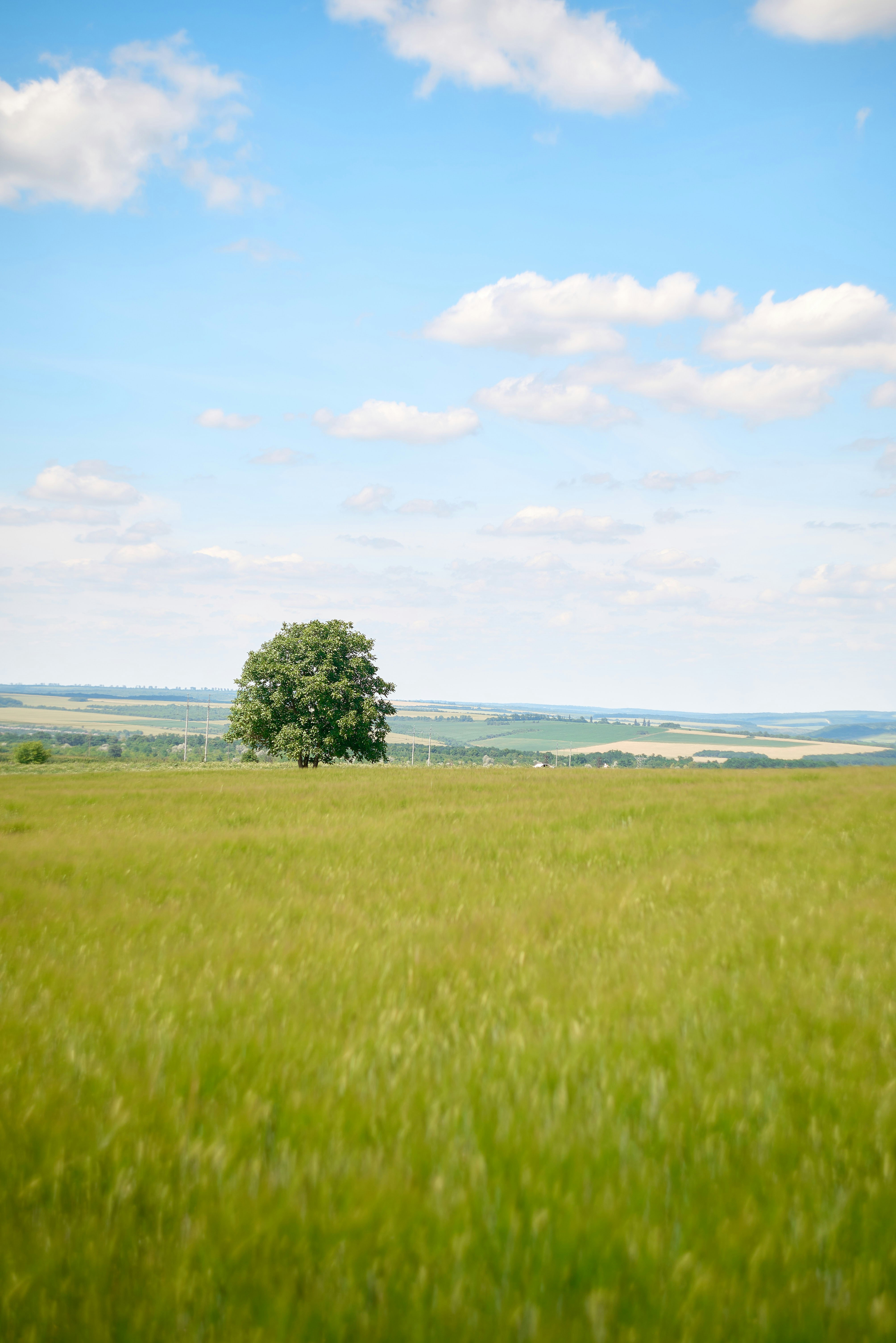 Photo by rostislavbudzan