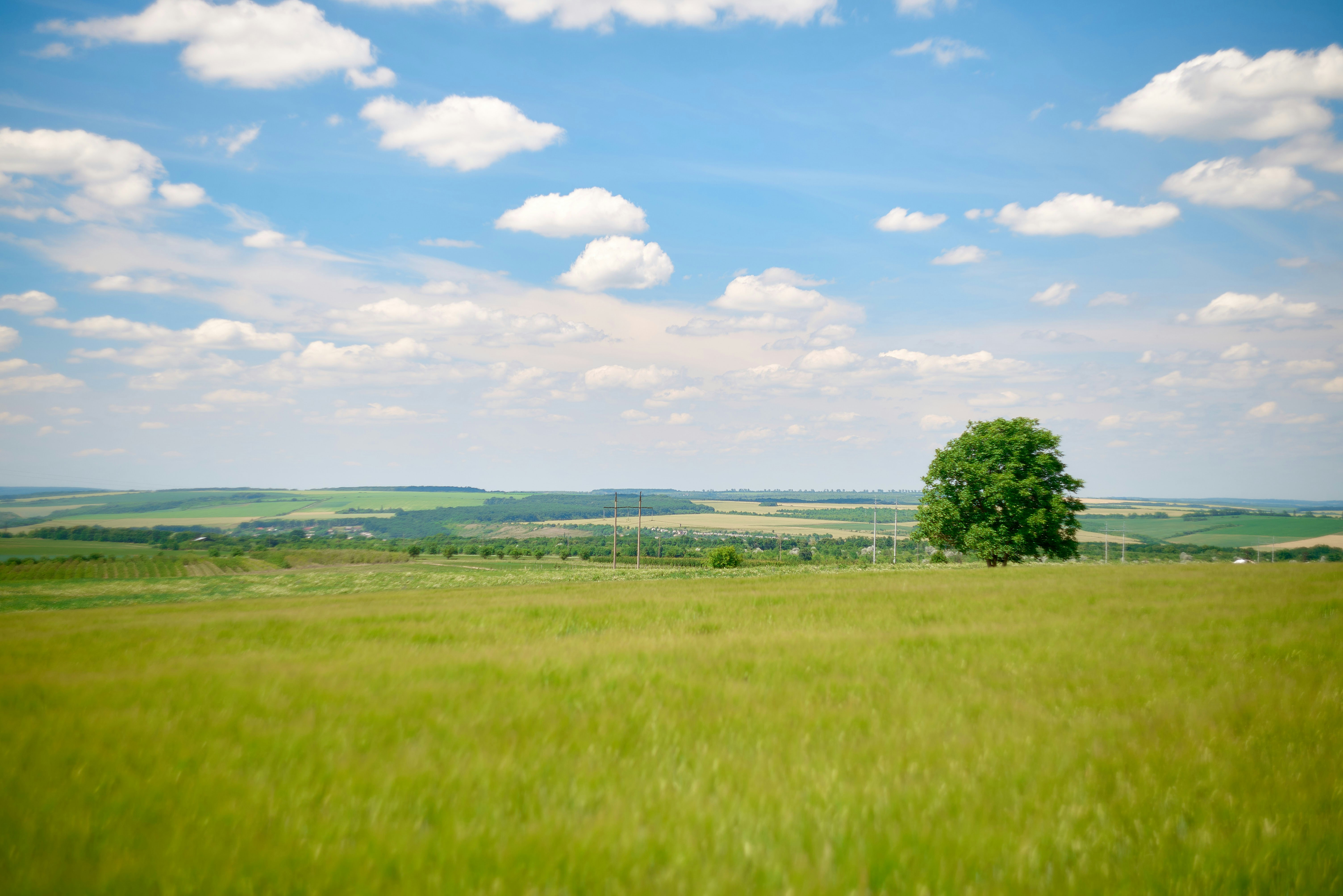 Photo by rostislavbudzan