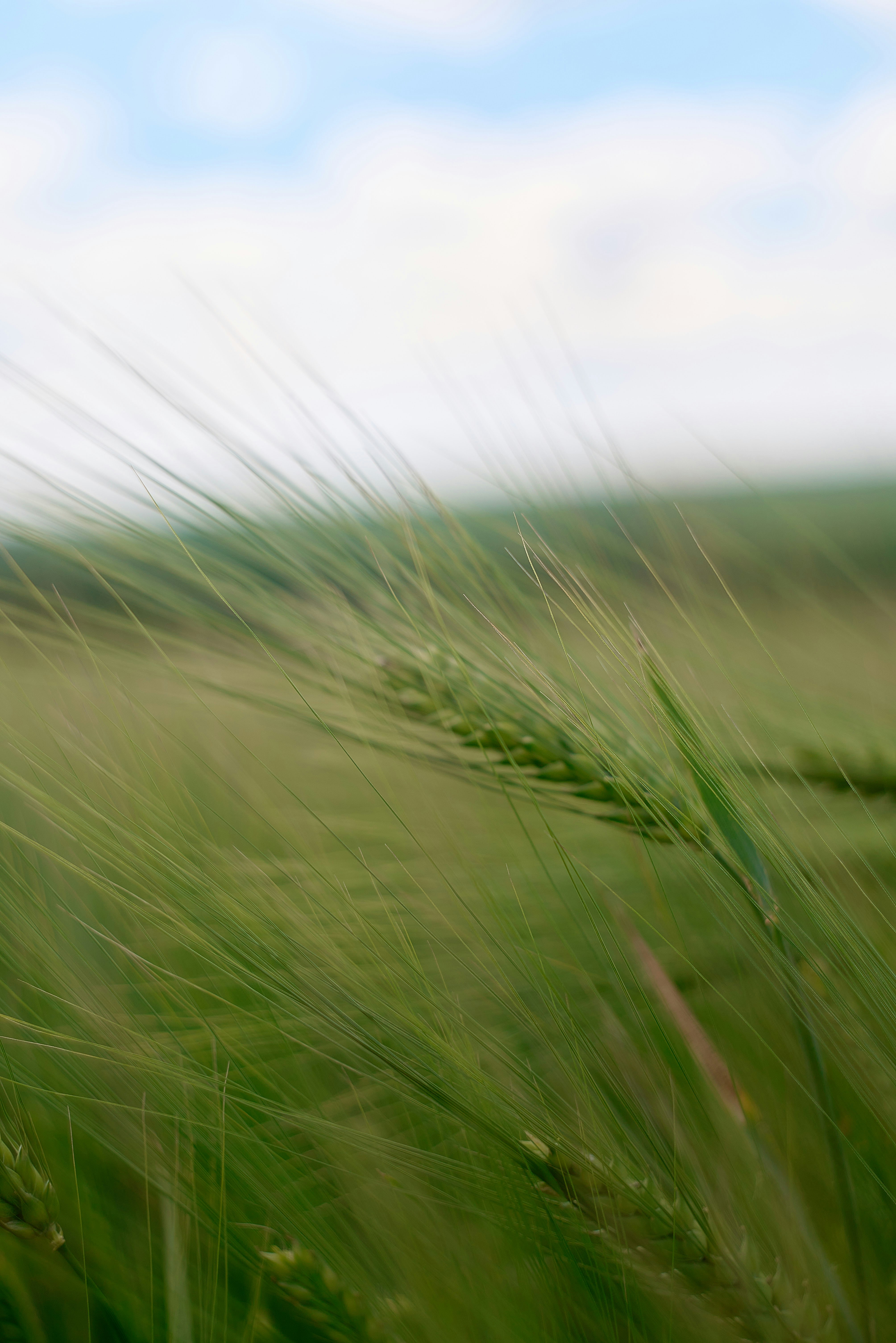 Photo by rostislavbudzan