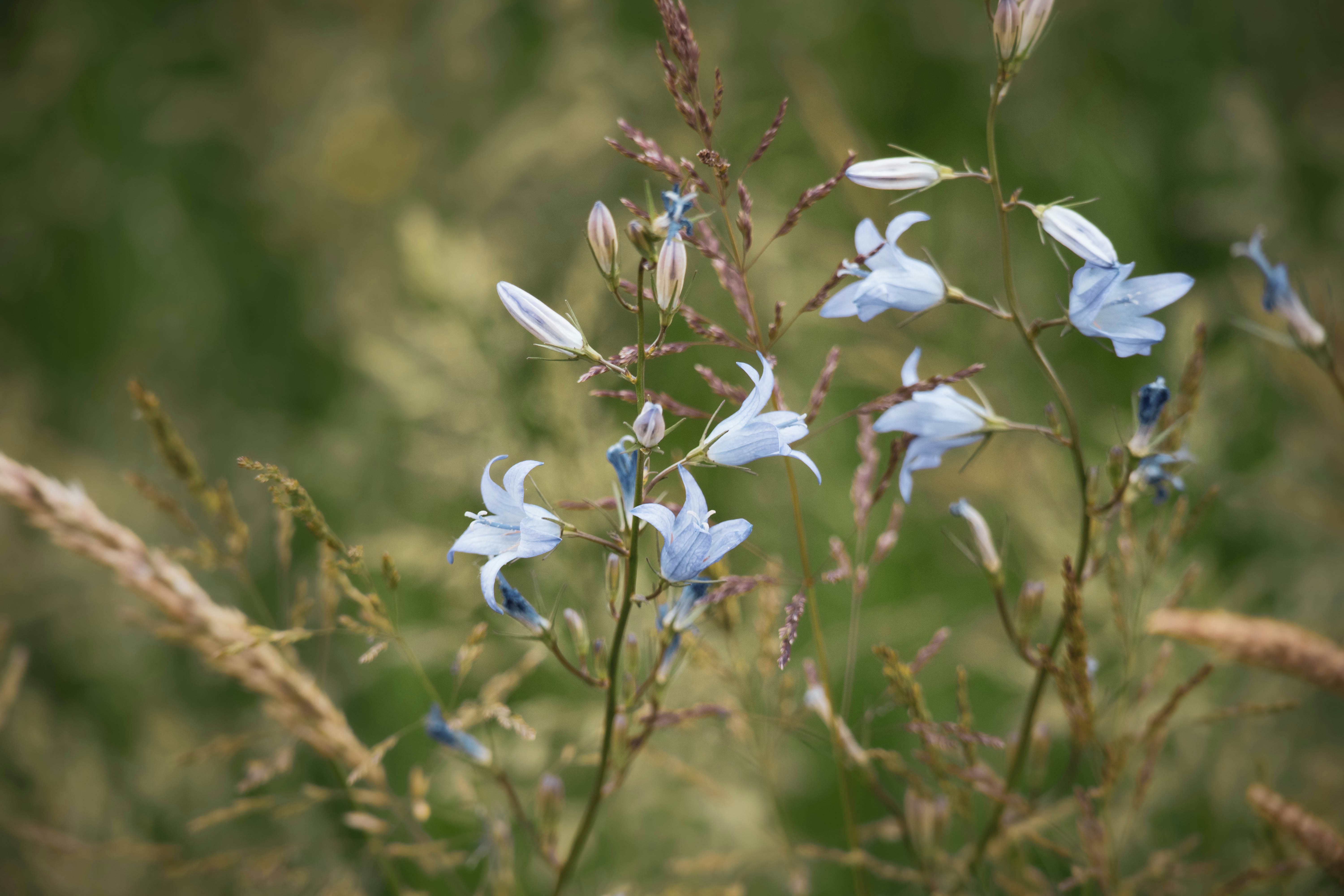 Photo by amandine_bataille_photo