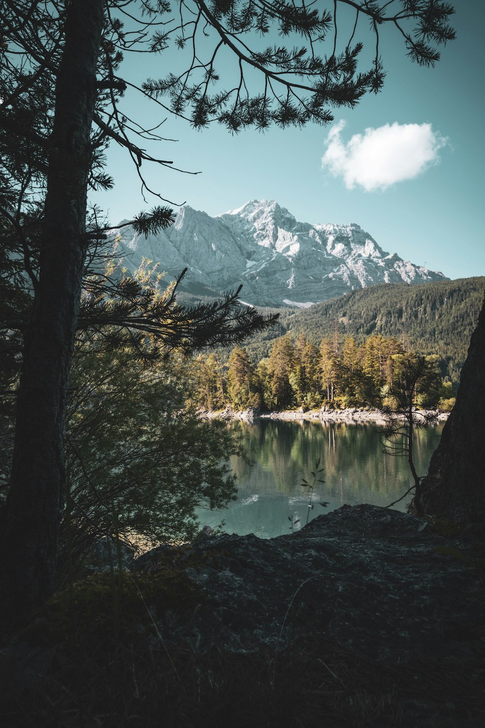 Ein See, umgeben von Bäumen und Bergen