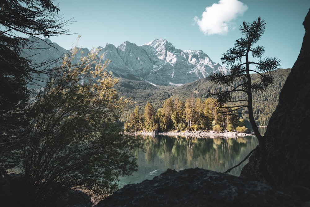 a lake surrounded by trees and mountains