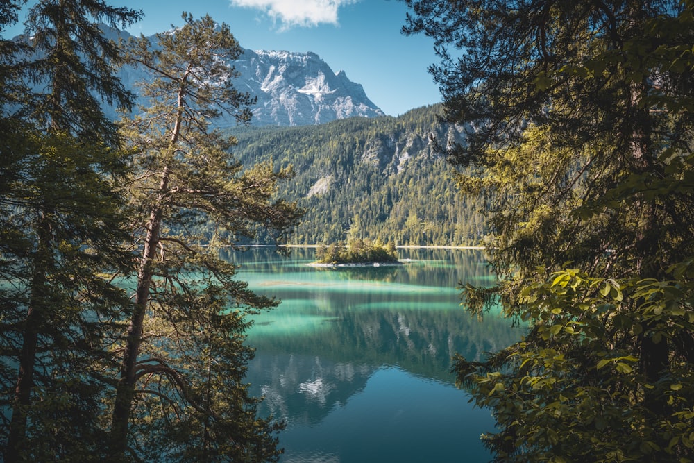 a lake surrounded by trees and mountains