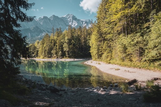 a lake surrounded by trees and mountains