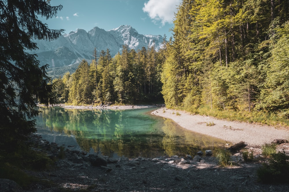 a lake surrounded by trees and mountains