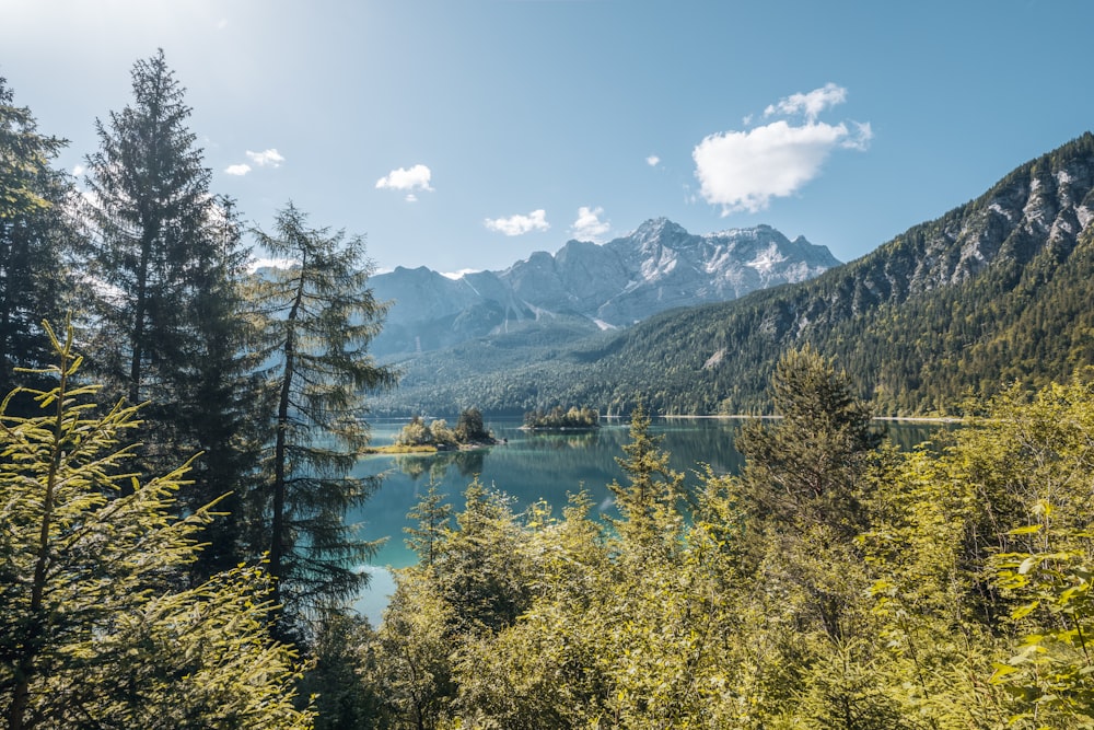 a lake surrounded by trees and mountains