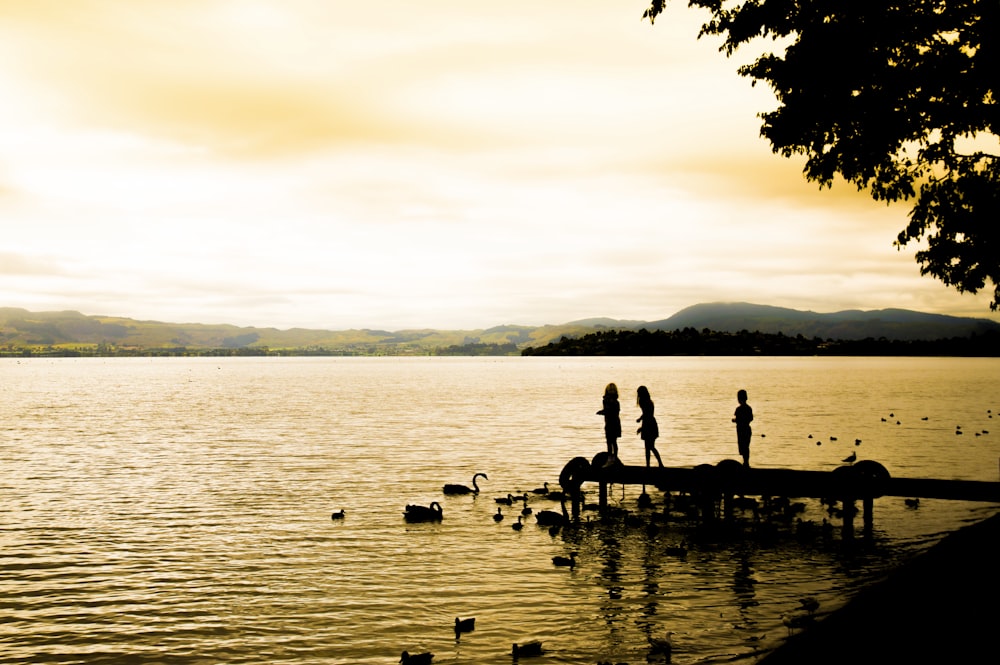 a group of people standing on a dock over a body of water