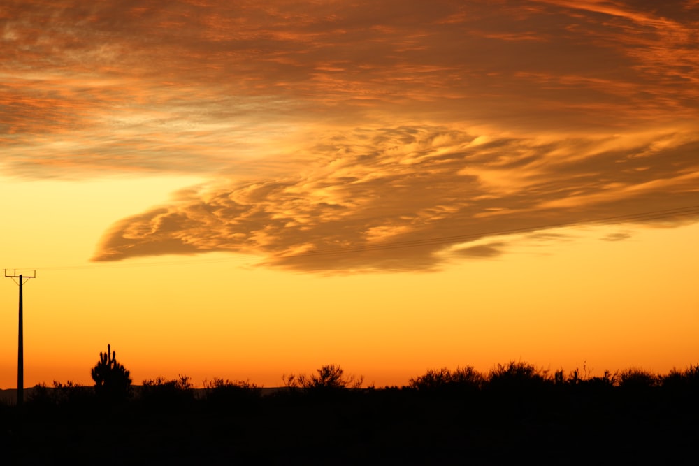 a sunset over trees