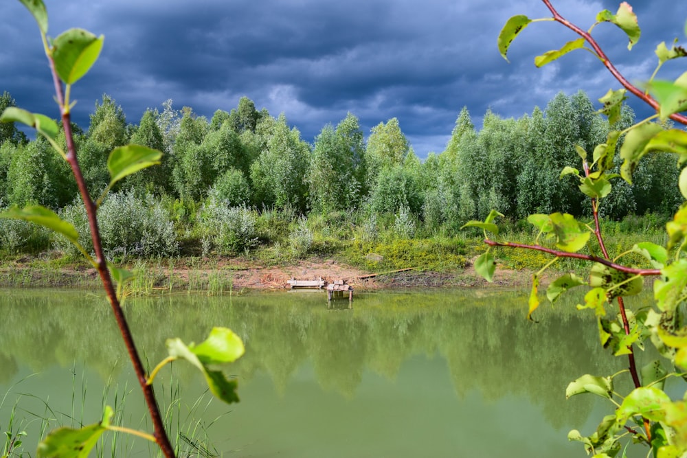 un lac entouré d’arbres