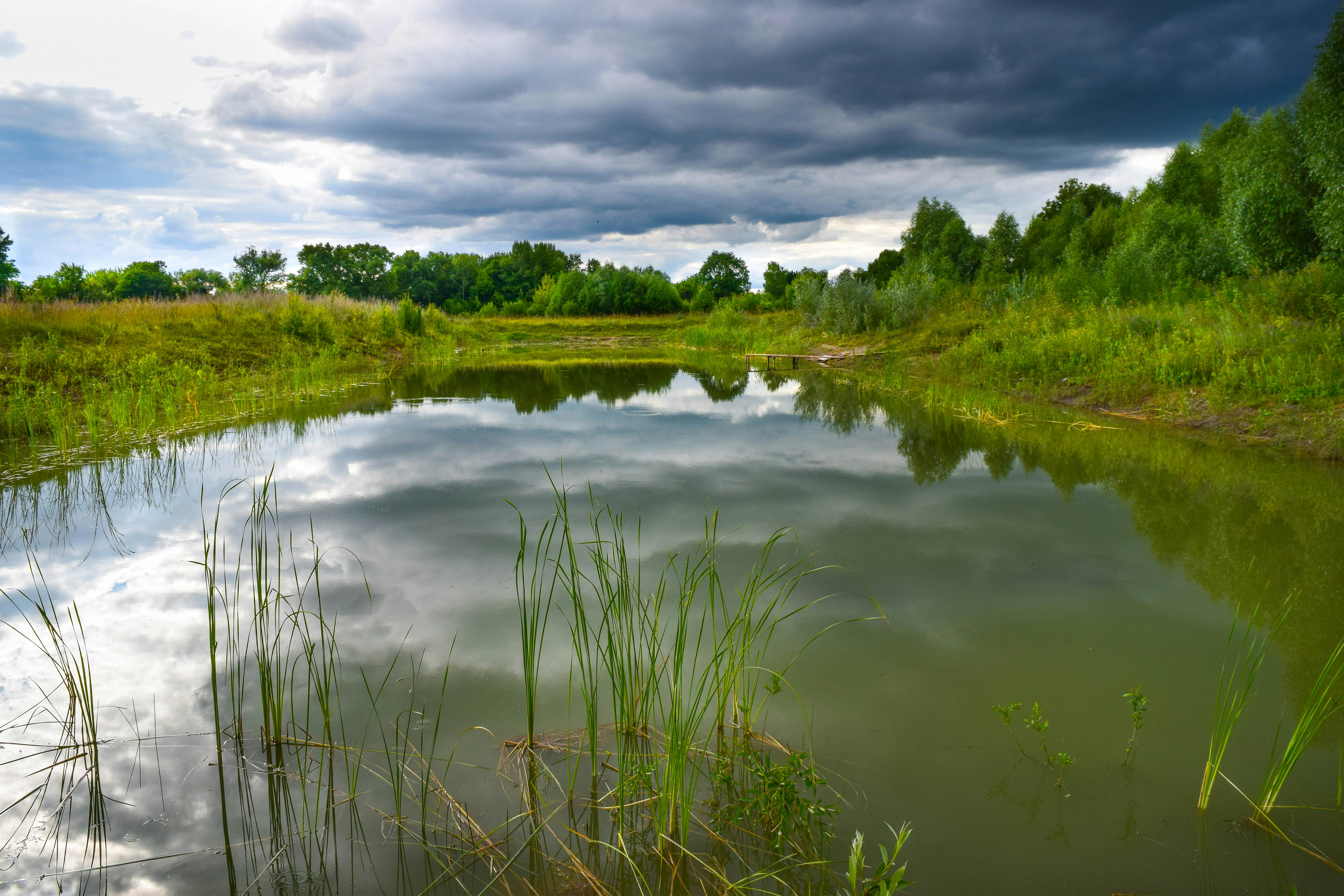 Storm cloud over the pond in the meadow