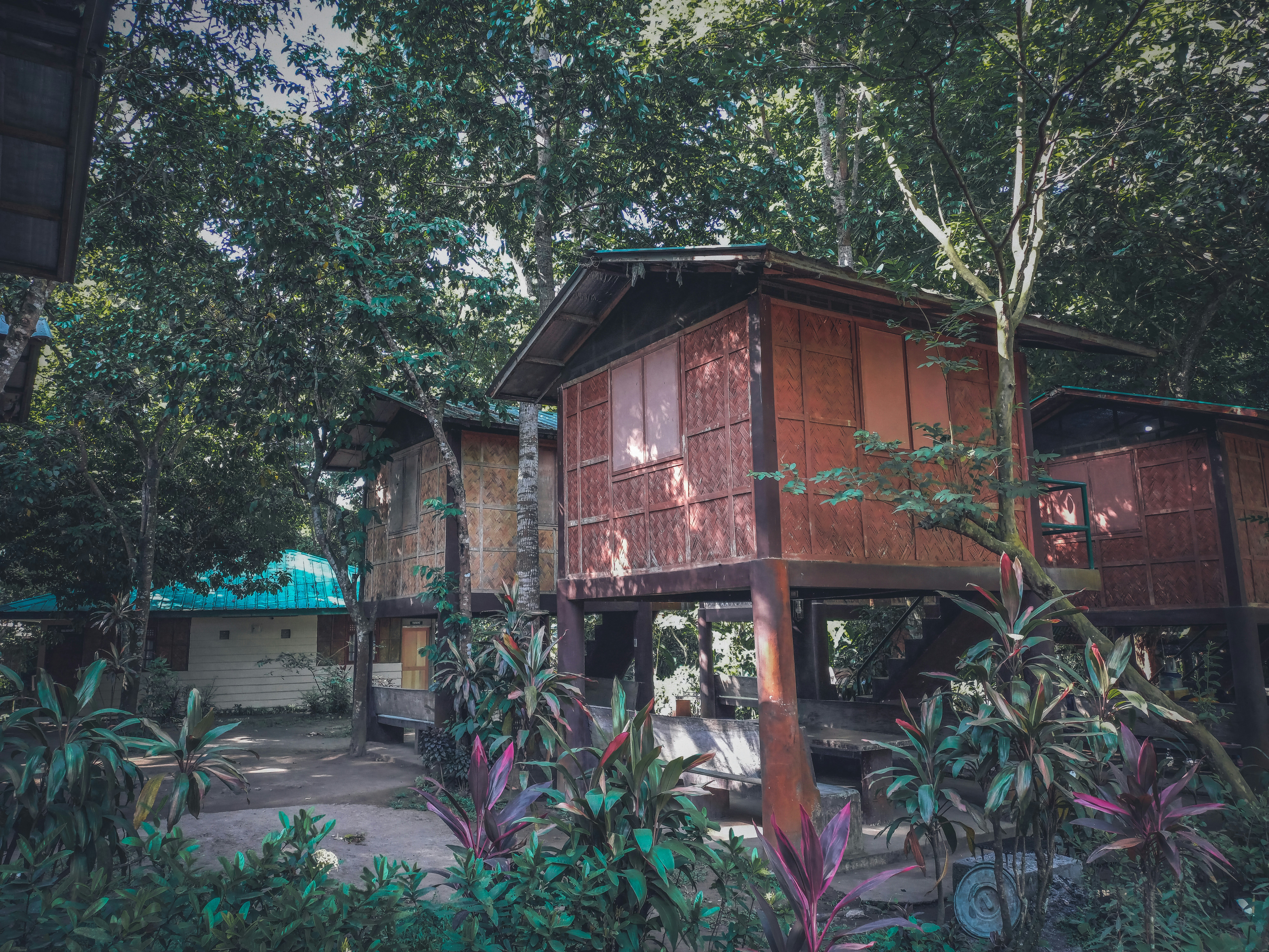 Sustainable Travel: Embracing Eco-Friendly Practices and Accommodations